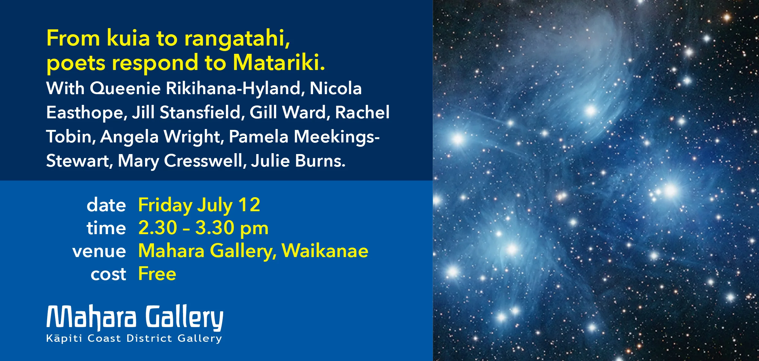 Matariki opening banner9.jpg