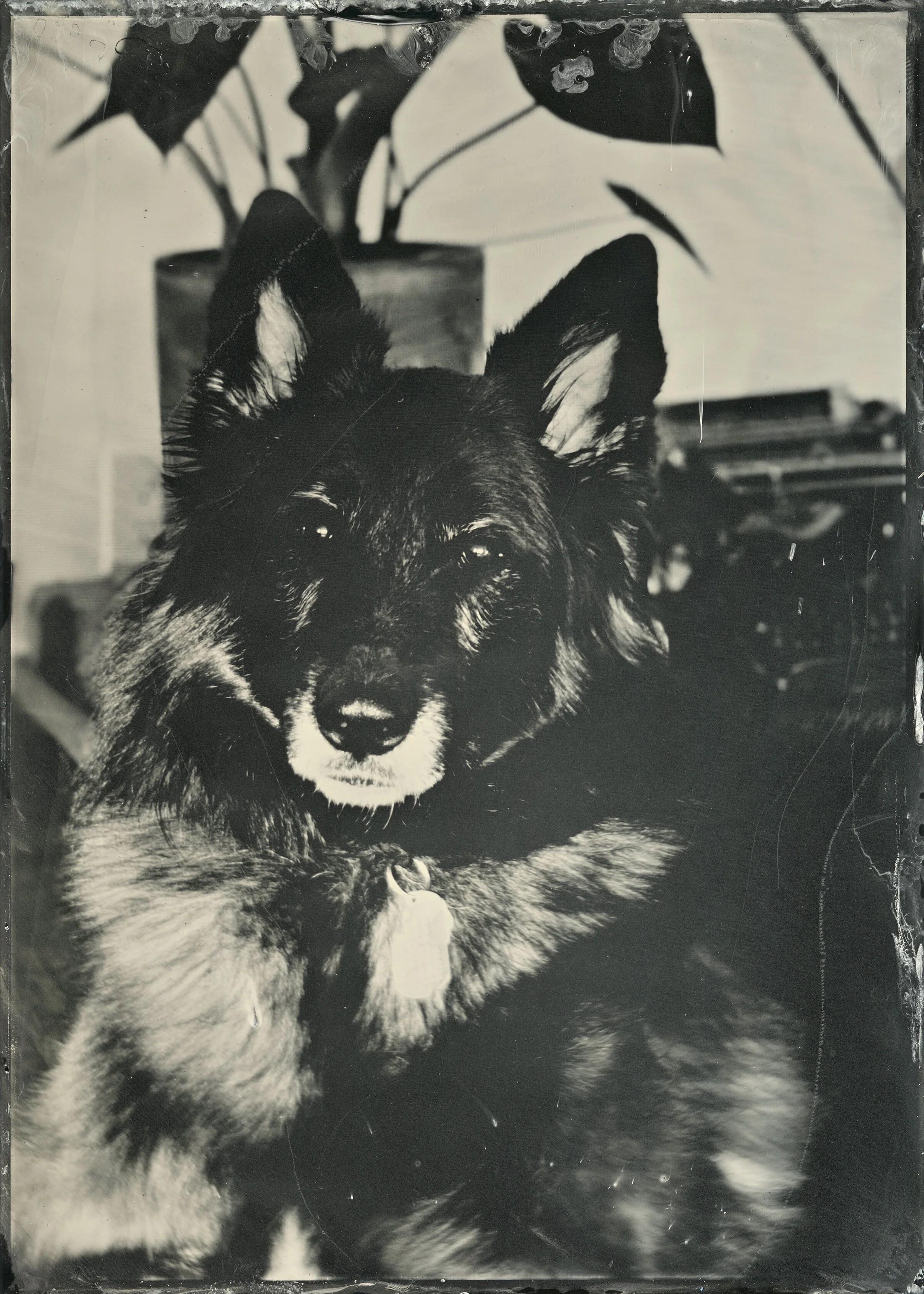 img003scan.jpg