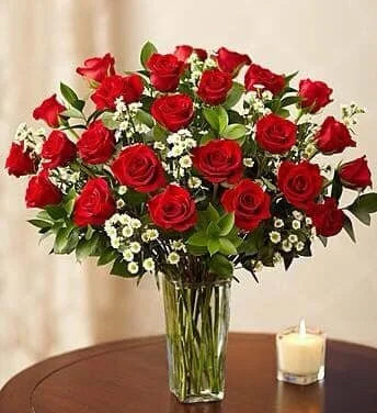 2 Dozen Premium Red Roses