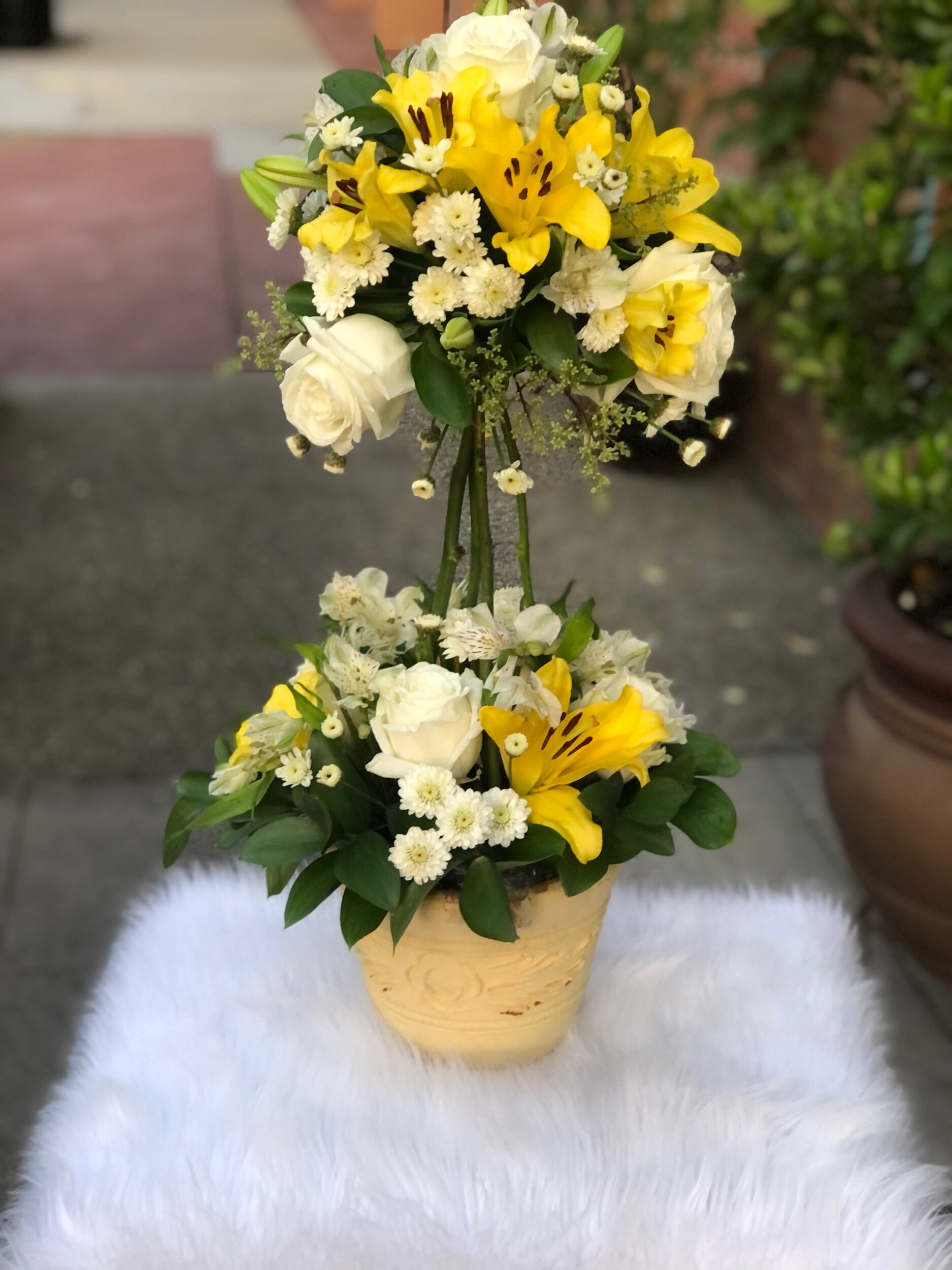 D65039B7-E796-44F2-AE72-6350FE2B7134