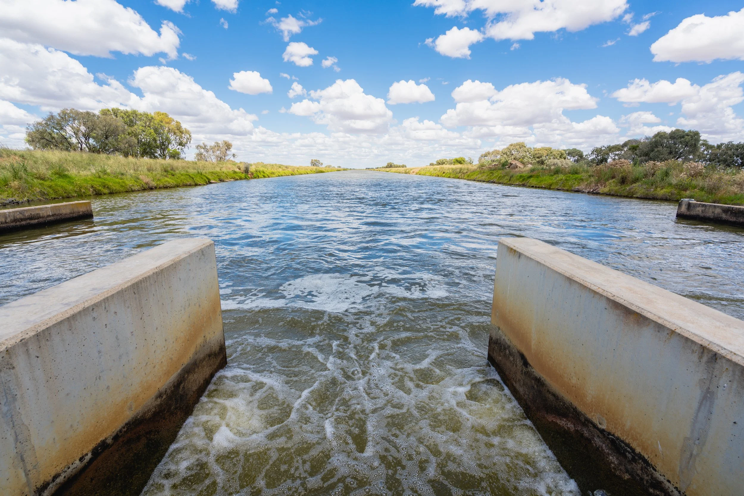 ColeamballyIrrigation_MattBeaver_A7R09204.jpg