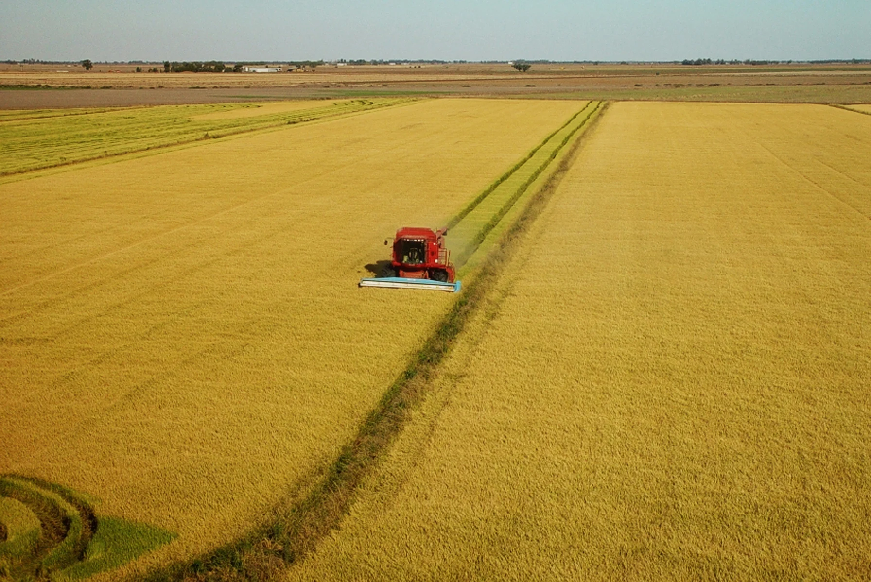 CICL Update December 2017 