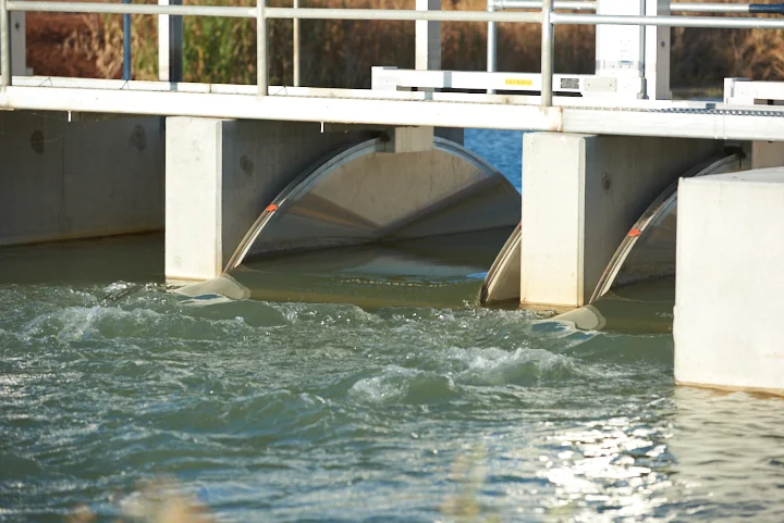 Allocation Announcement - 15 May 2020