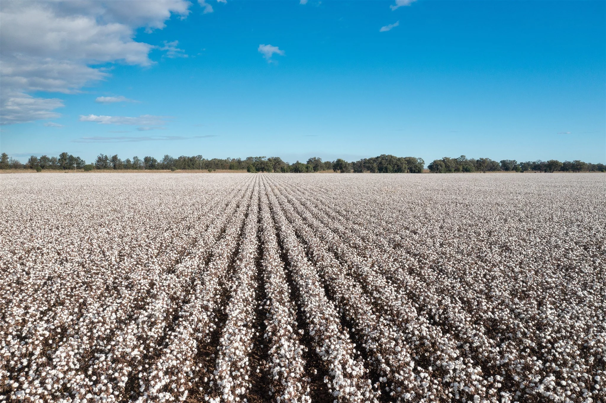 Social media – Follow us