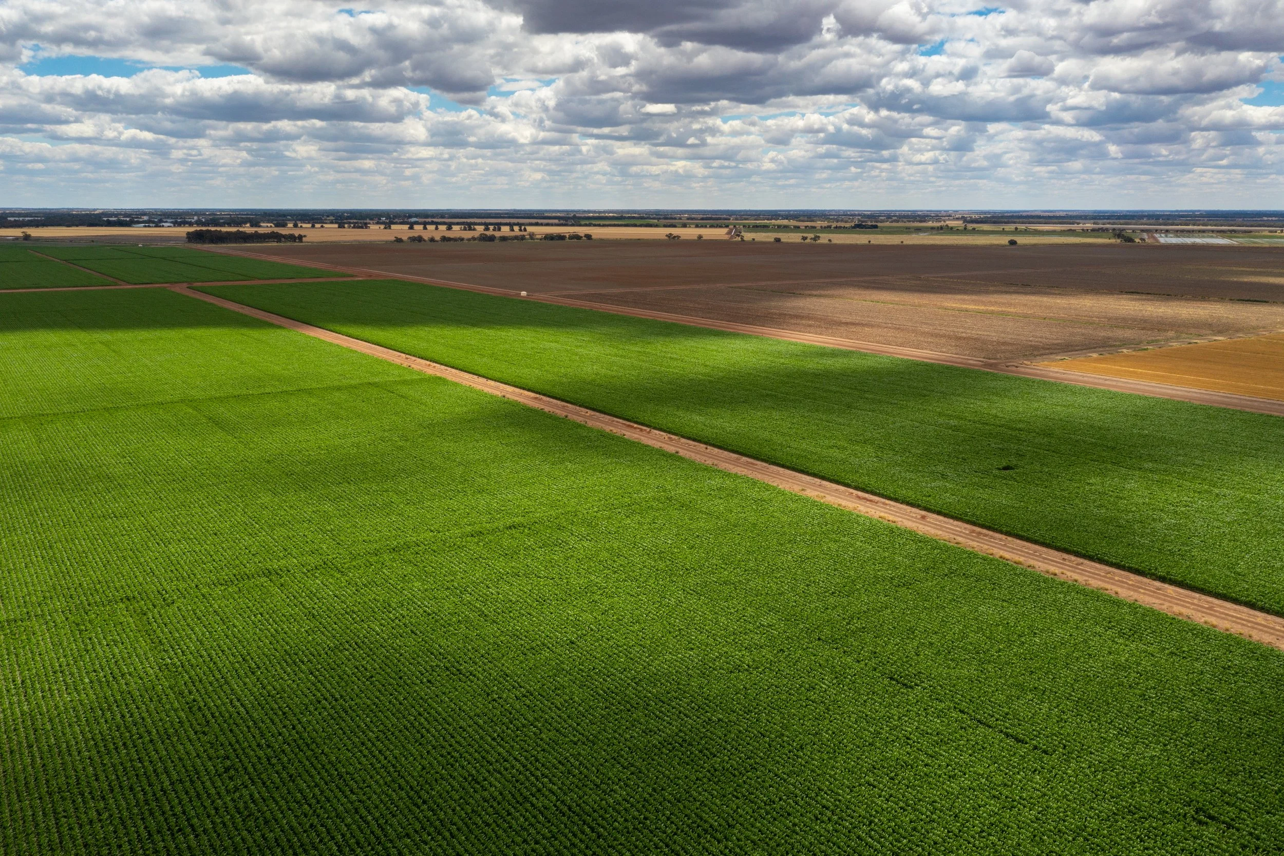 ColeamballyIrrigation_MattBeaver_DJI_0574.jpg
