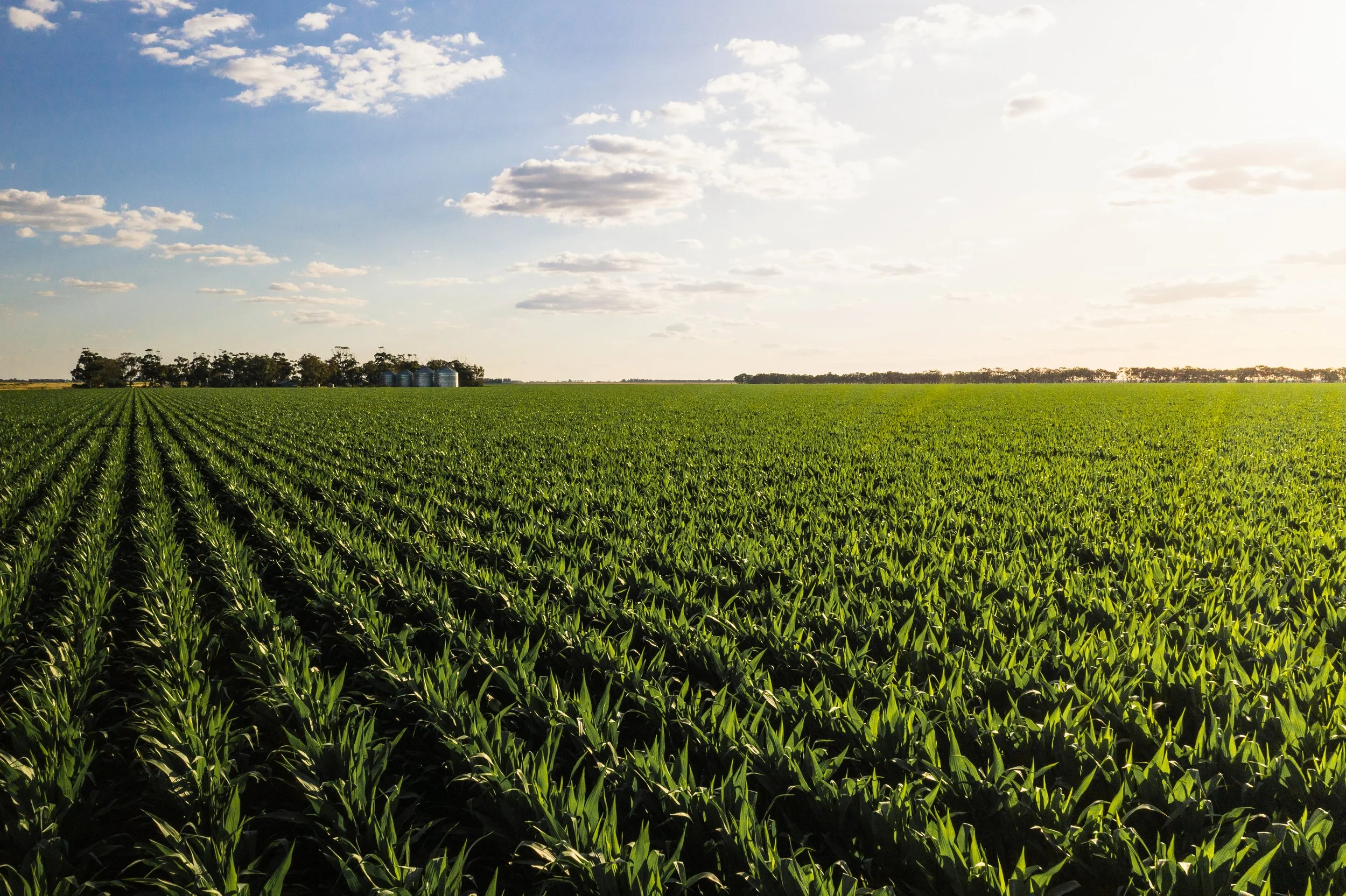 ColeamballyIrrigation_MattBeaver_DJI_0611.jpg