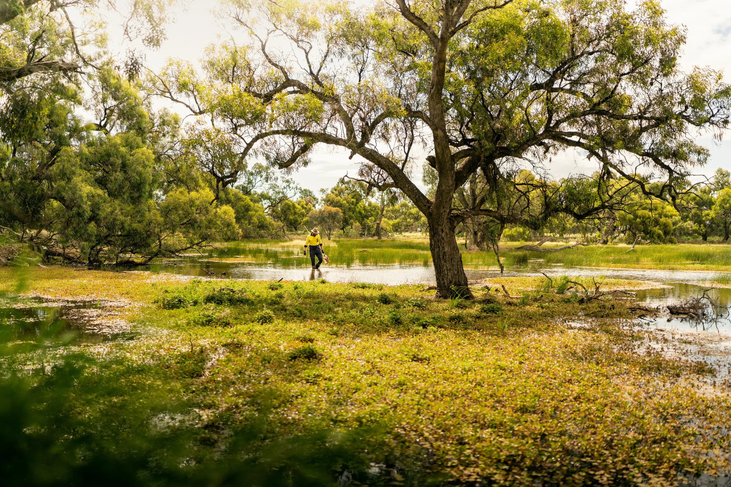 ColeamballyIrrigation_MattBeaver_A7R08973.jpg
