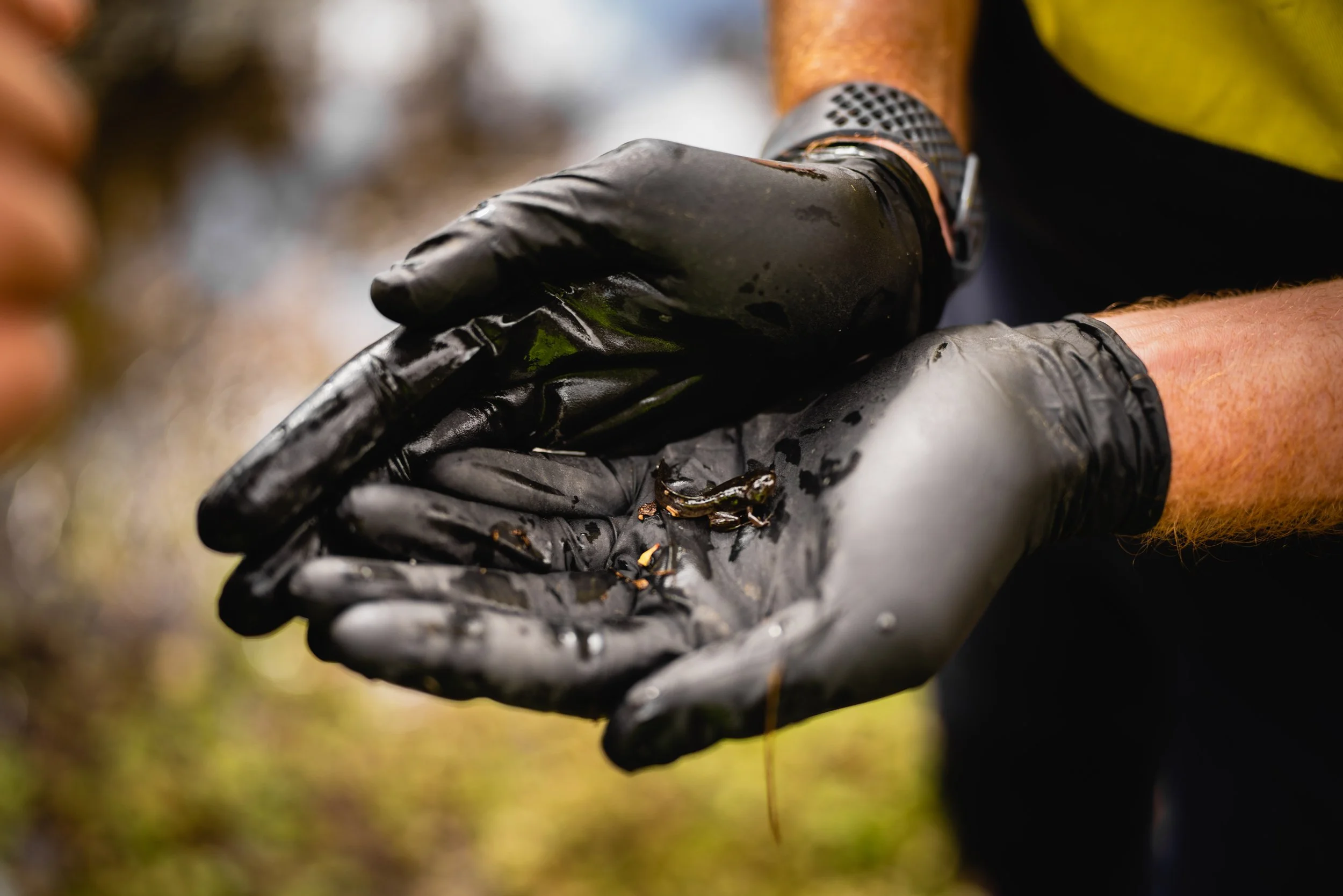 ColeamballyIrrigation_MattBeaver_A7R08956.jpg