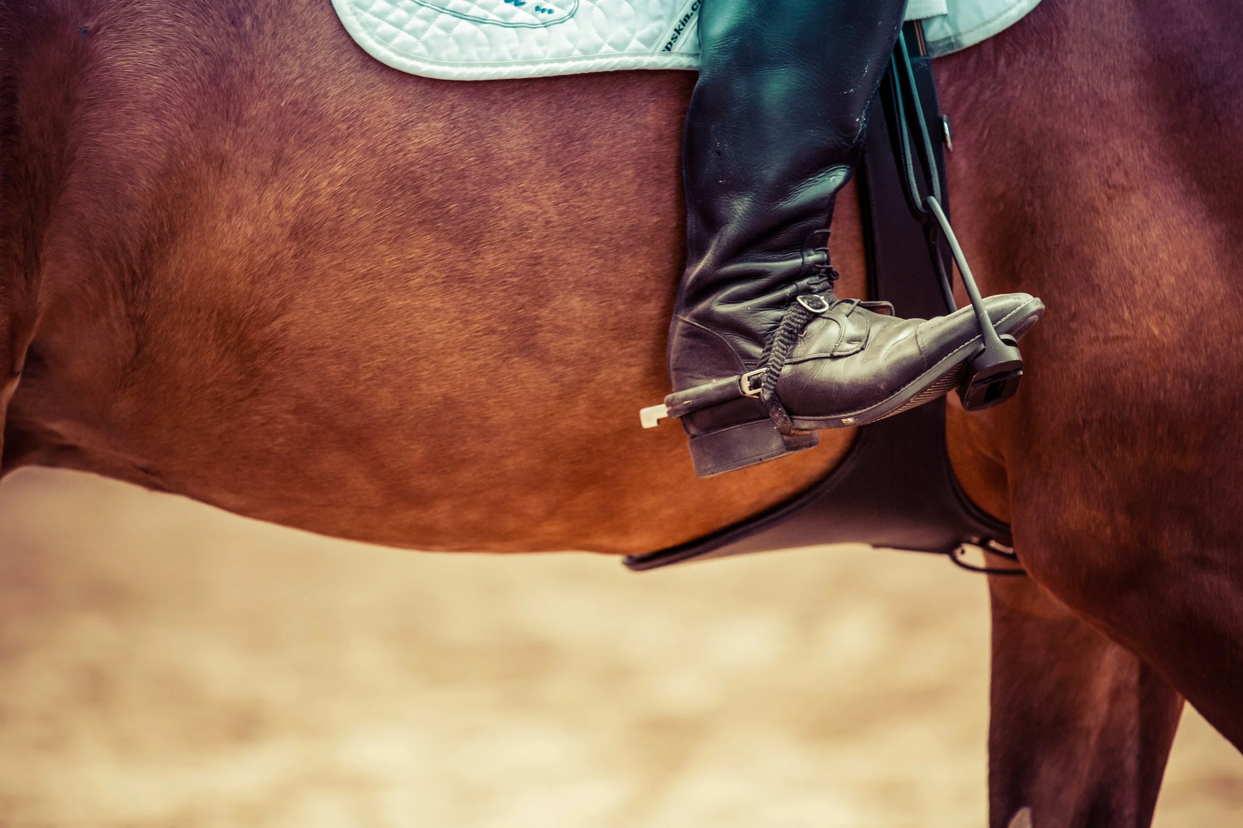 boot-horse-horseback-riding-93489.jpg