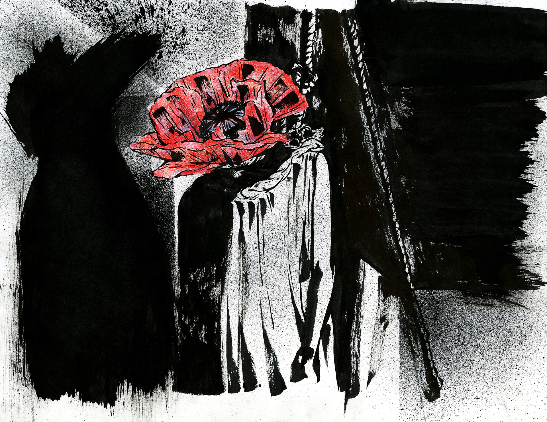 House on a Poppy Hill