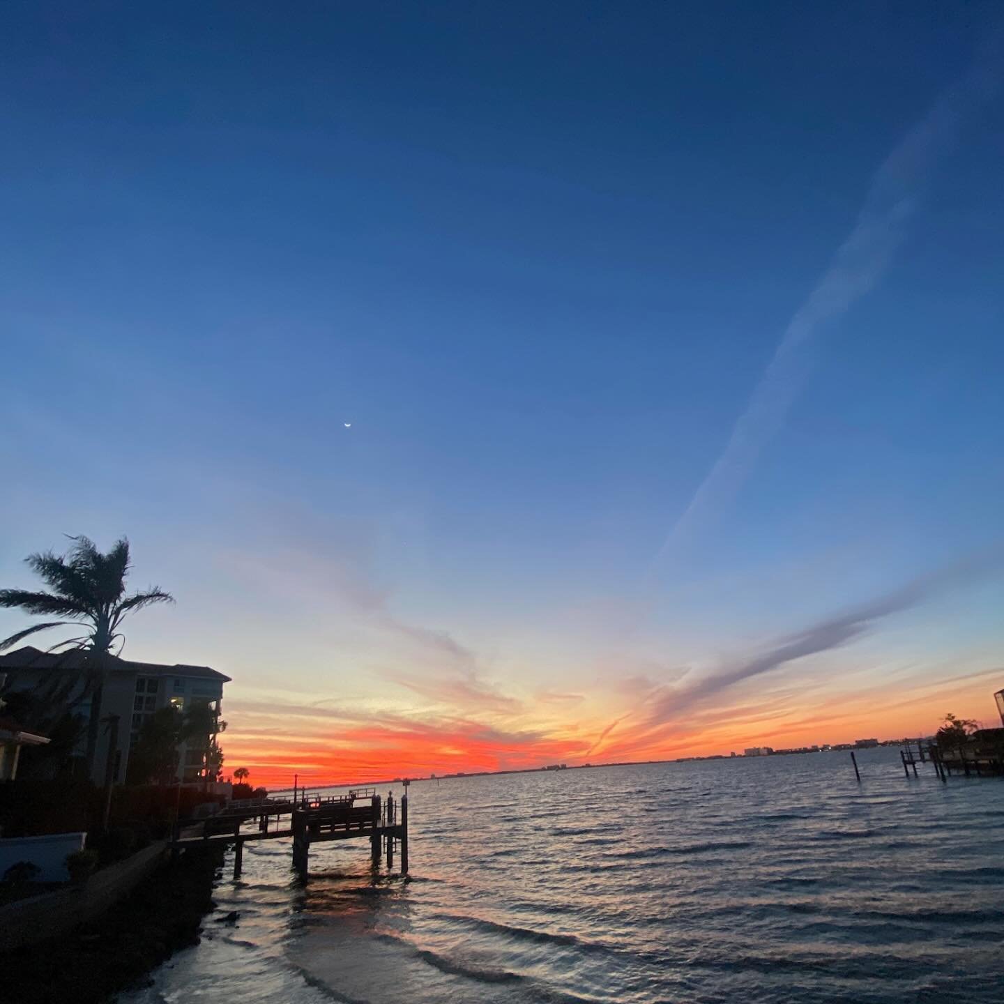 Just got the call. Fired. I was the wildlife DEI coordinator at the EPA. My job was to turn the frogs gay. 🥦
.
.
.
.
.
.
.
.
.
.
#gayfrogforpresident #allfrogsaregay #gayrights #dei #nationalparks #musicaltheatre #stpetersburgflorida #stpetersburg #