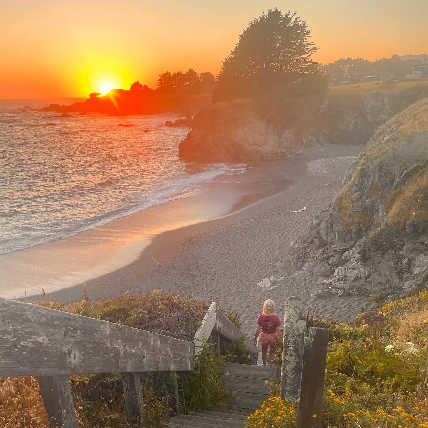 Waiting patiently for Elizabeth Warren&rsquo;s cover of Pink Pony Club 🦄🤡🧘&zwj;♀️
.
.
.
.
.
.
.
.
#chappellroan #elizabethwarren #shouldyoutwogetmarried? #ithinkso #coachella #governorsball #inmypajamas #outsidelands #democrats #mendocino #searanc