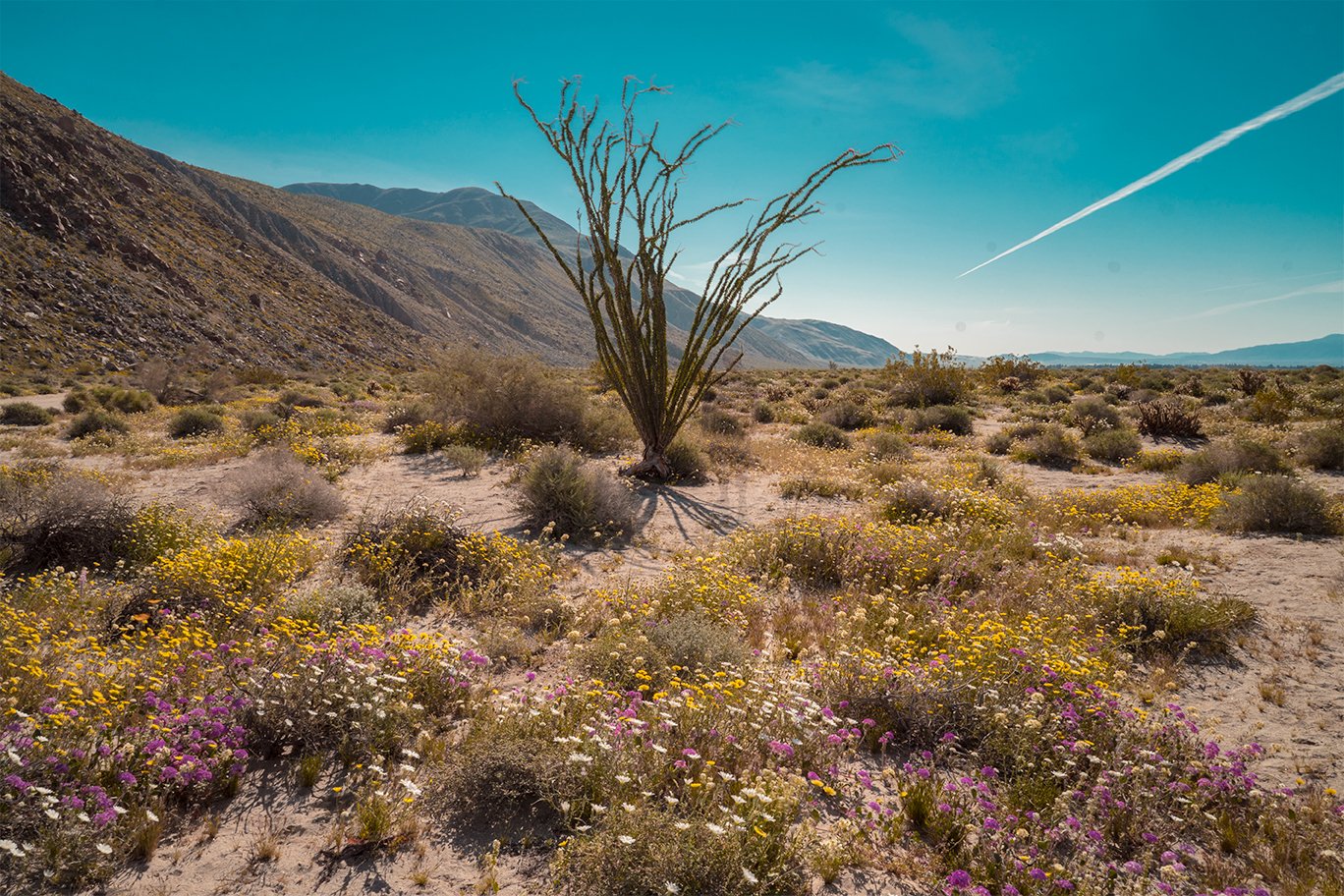 borrego-springs-ghost-selfie.jpg