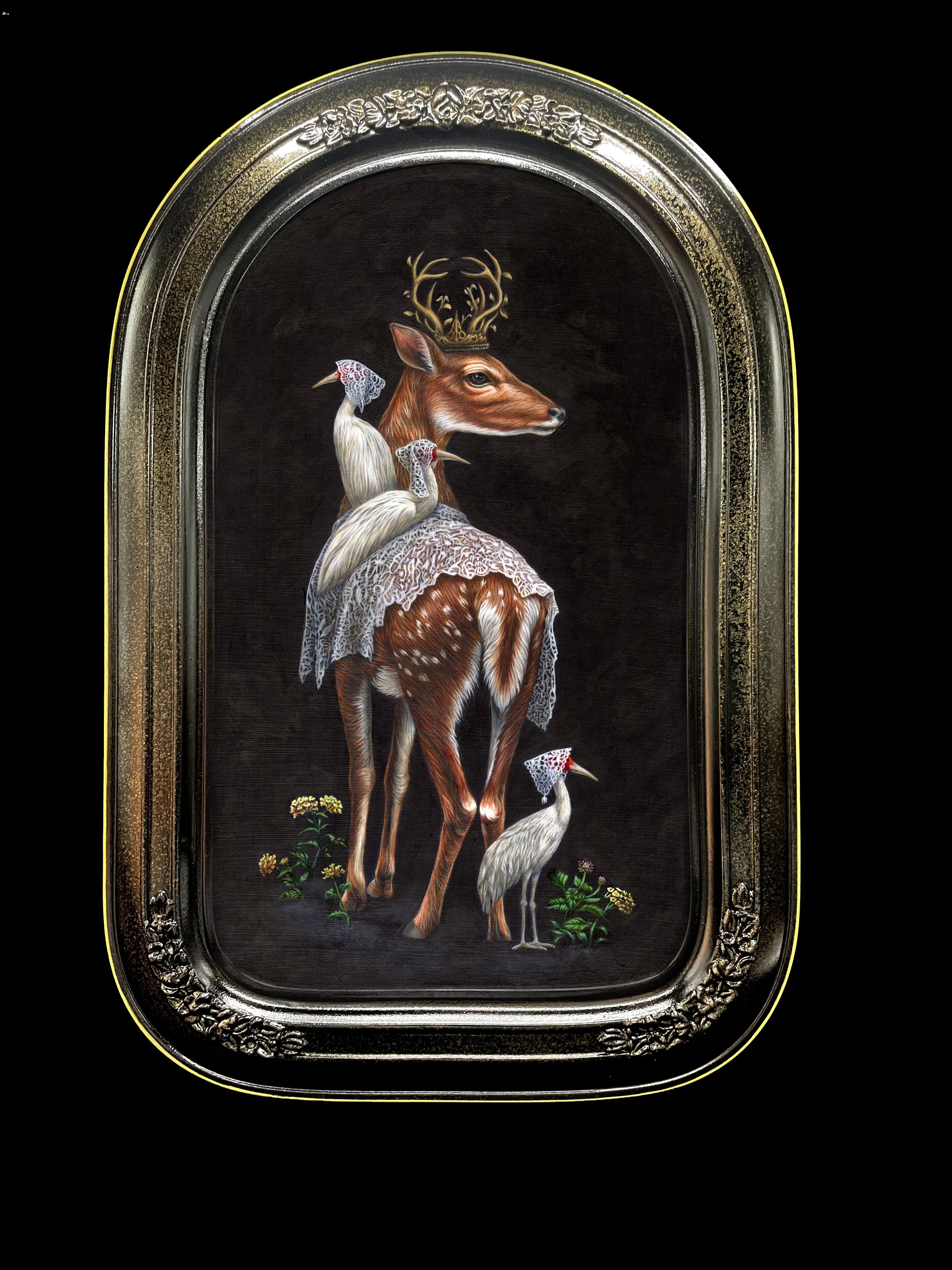 The Queen's Deers 2026 - 
During the 19th century, wealthy settlers and acclimatisation societies deliberately introduced red deers to Australia so the landscape would resemble Britain and to provide opportunities for recreational hunting. In Queensl
