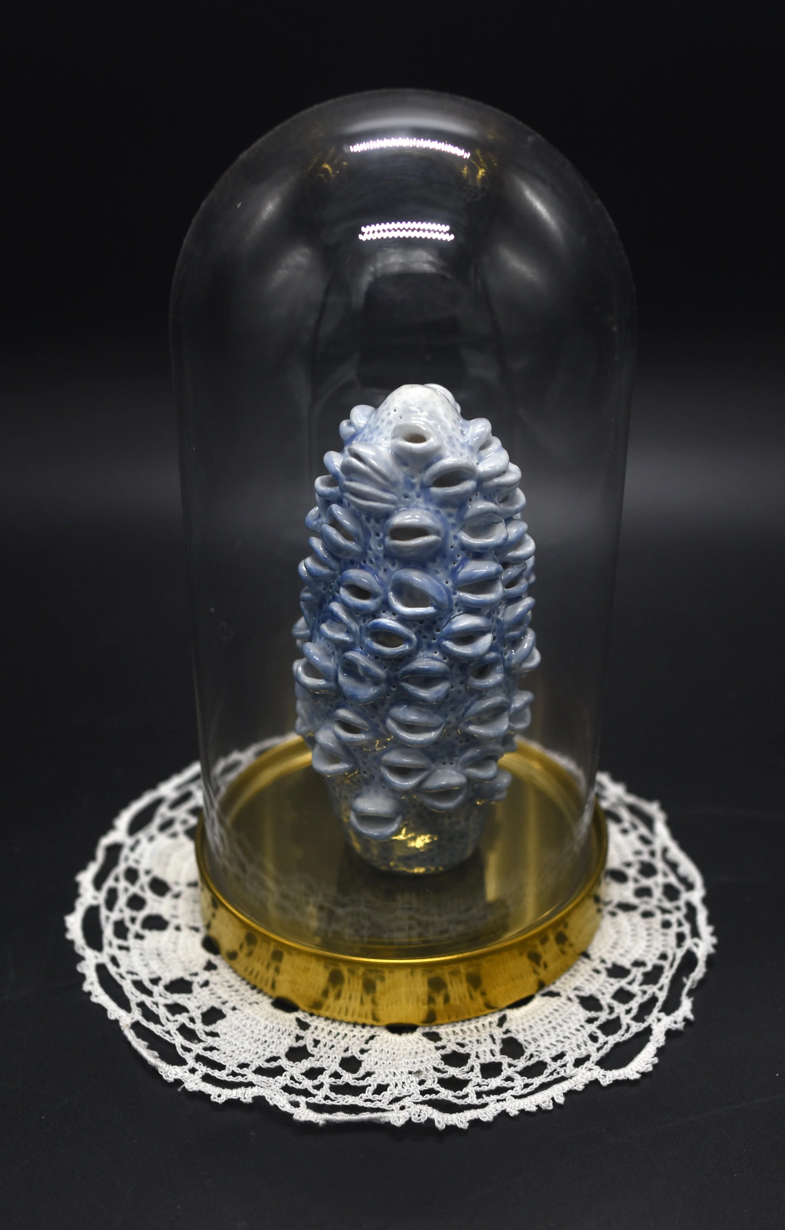 Banksia Blue 2026 - 
The significance of blue lies in its historical and cultural ties to trade and empire building. The colour blue was associated with naval uniforms symbolising authority and the maritime power of the British. Blue pigments, partic