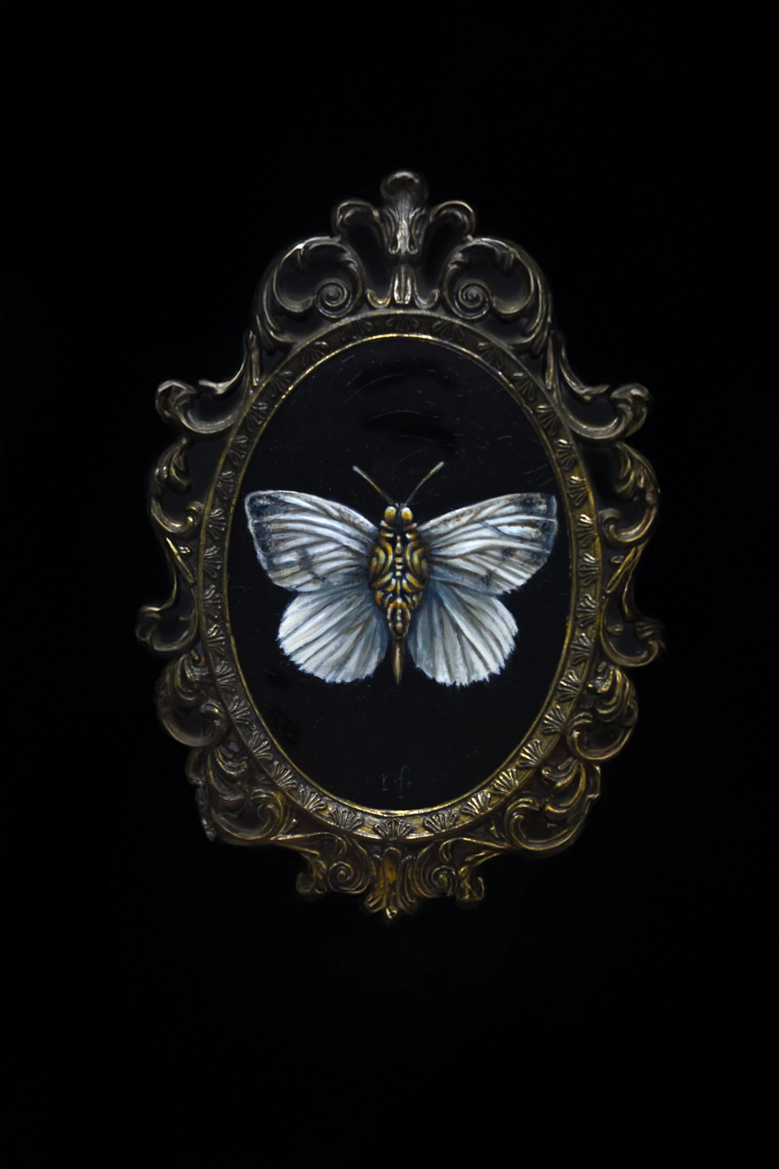 Battle Armour Bugs - Cabbage Moth 2026 - 
Battle Armour Bugs imagines introduced insects as an occupying force, not intentionally destructive, but participants in a conflict created by human movement. Together, the five insects span almost two centur