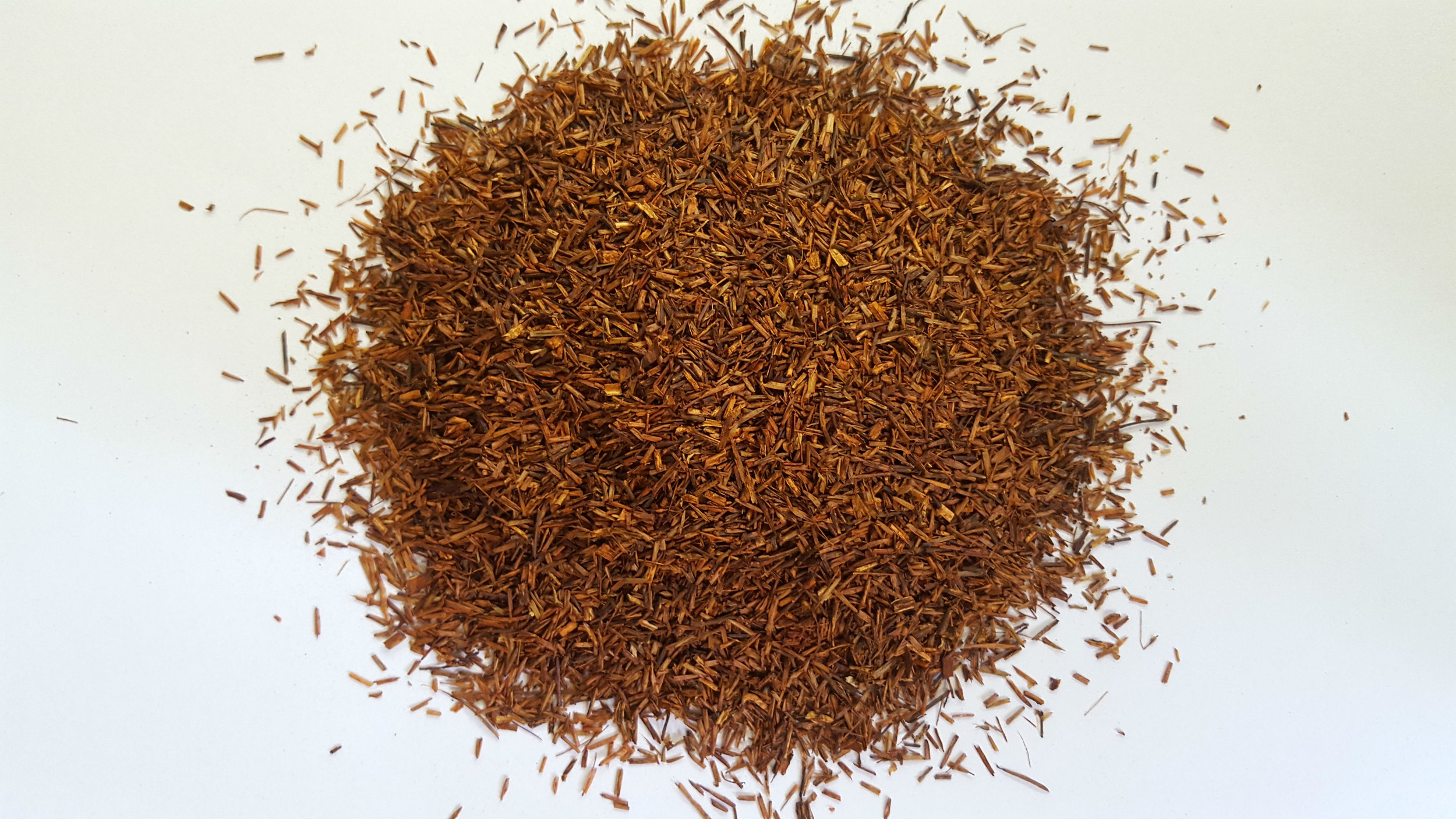 Rooibos.jpg