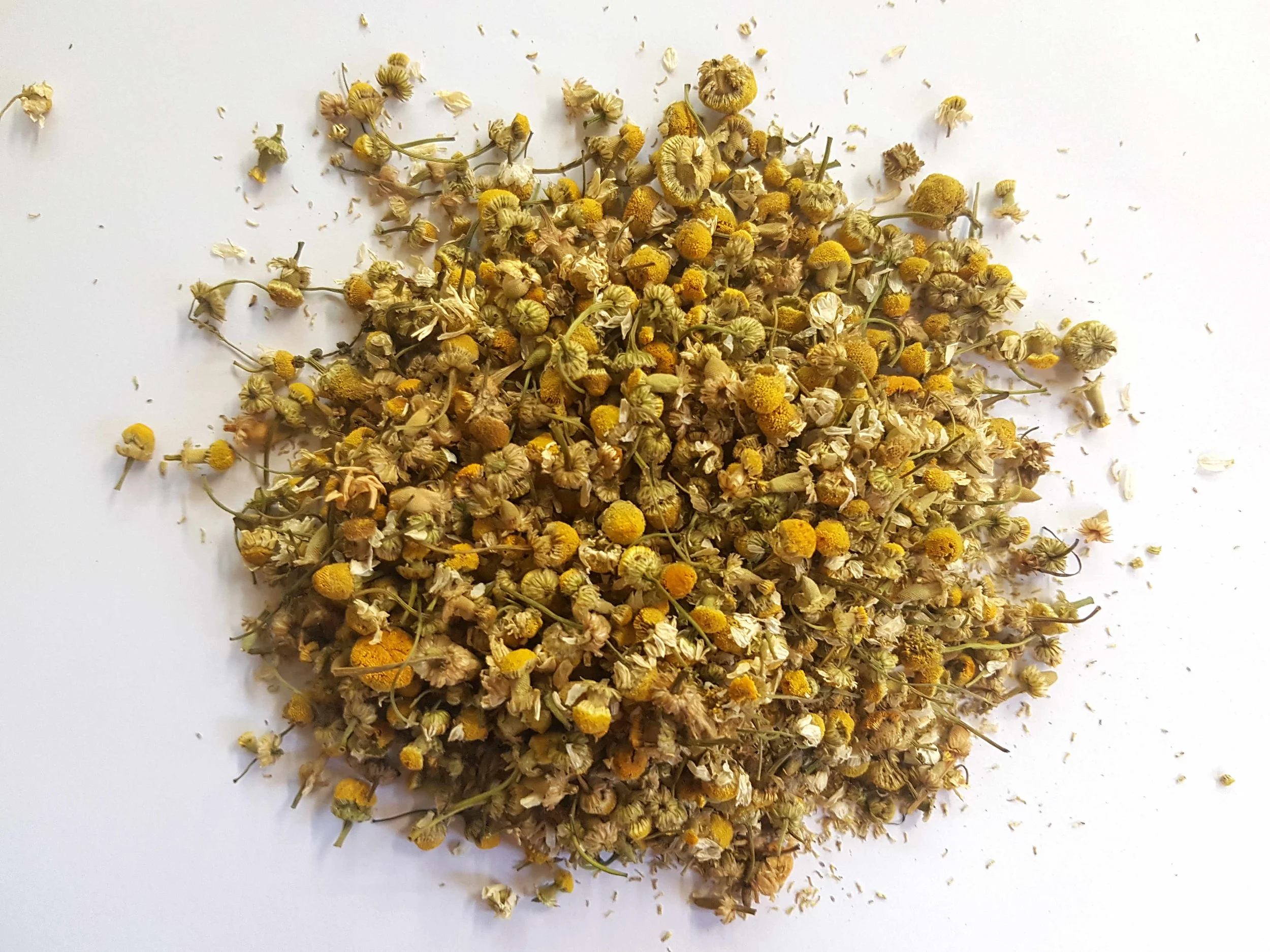 Chamomile