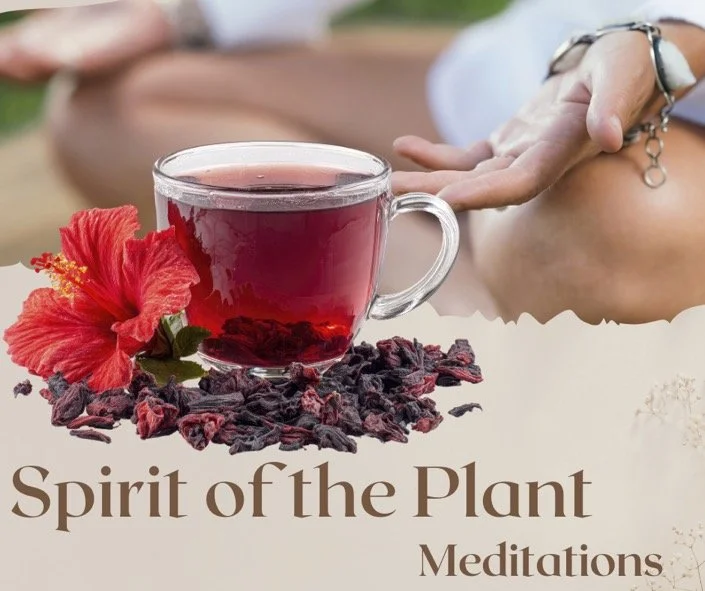 Spirit of the Plants Meditations