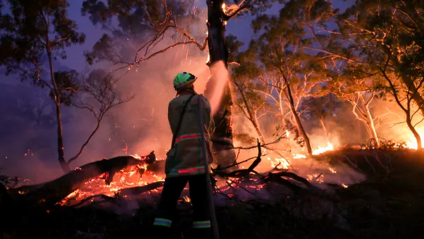 Fires to have little impact on GDP: RBA