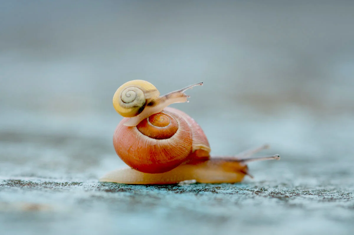 Sluggish inflation numbers push rate hikes further down the road