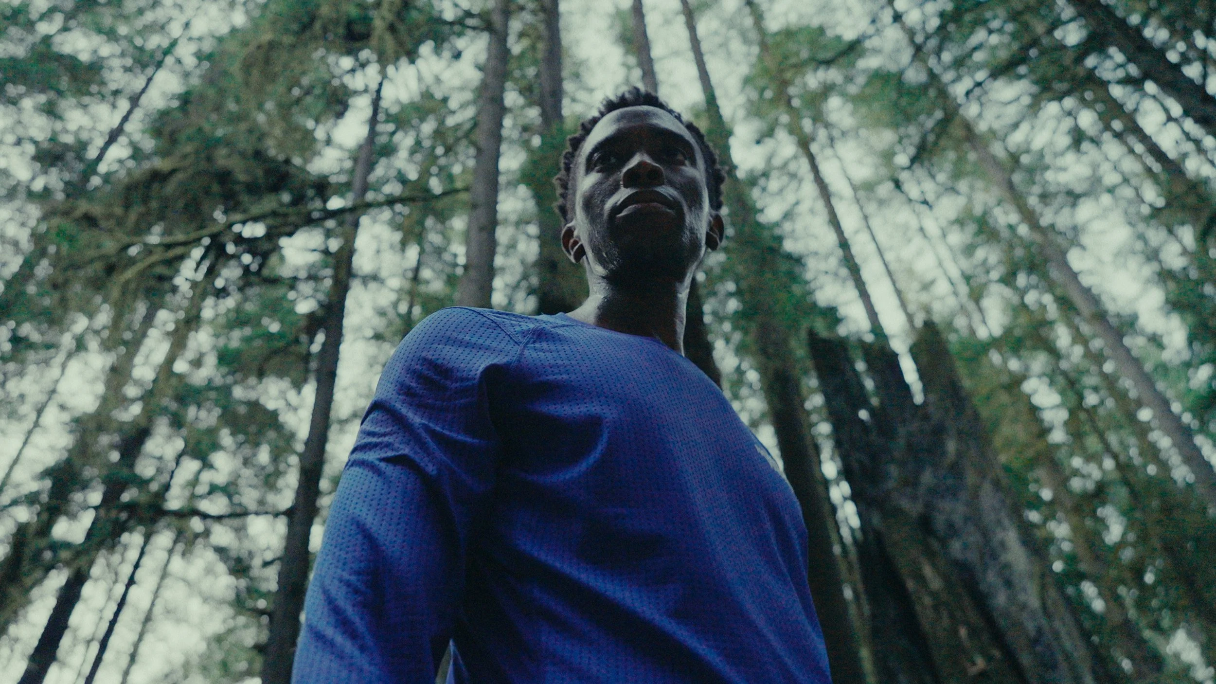 MAIN TIMELINE V3.00_00_11_21.Still013-1.jpg