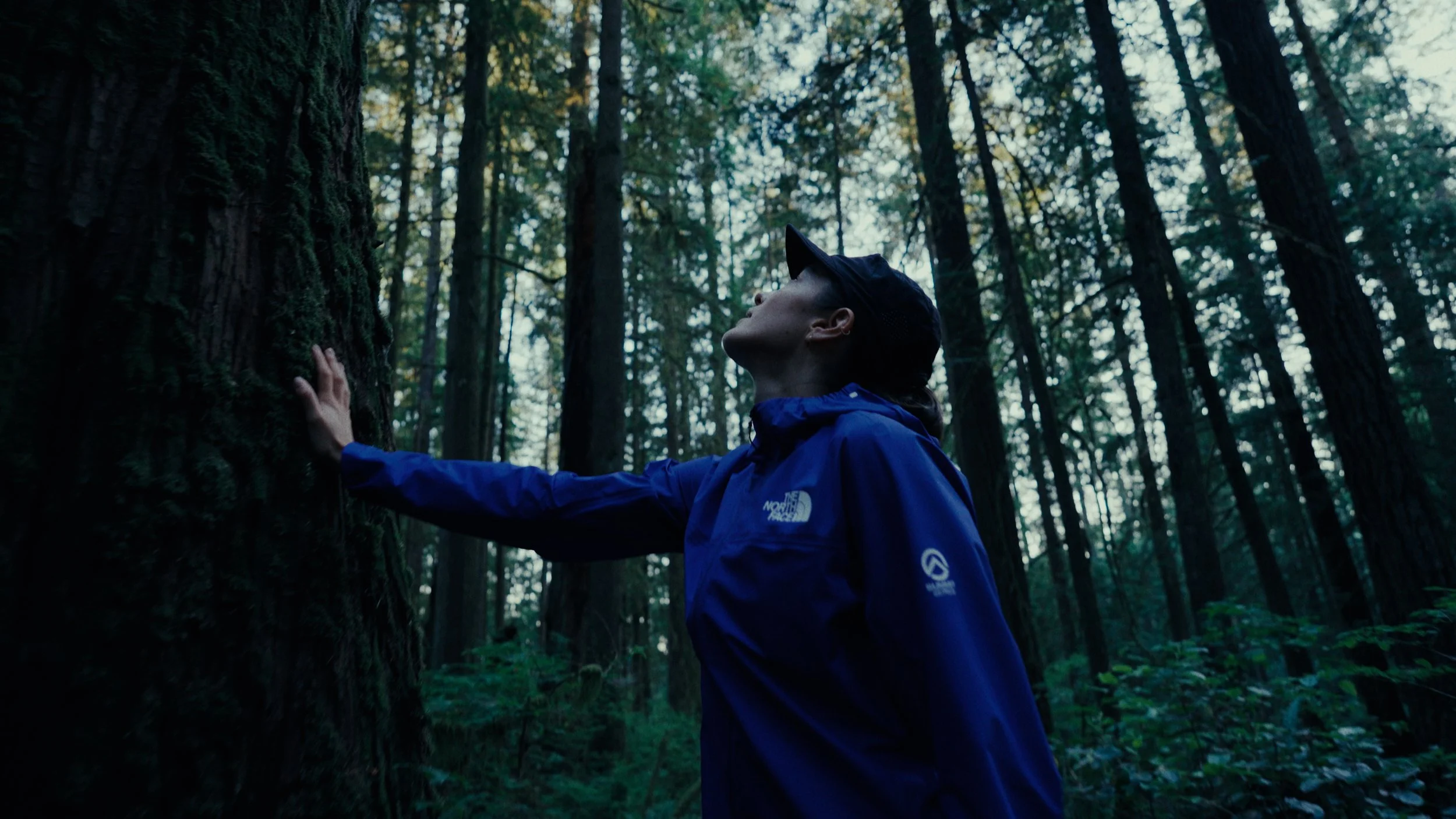 MAIN TIMELINE V3.00_00_19_03.Still016-1.jpg