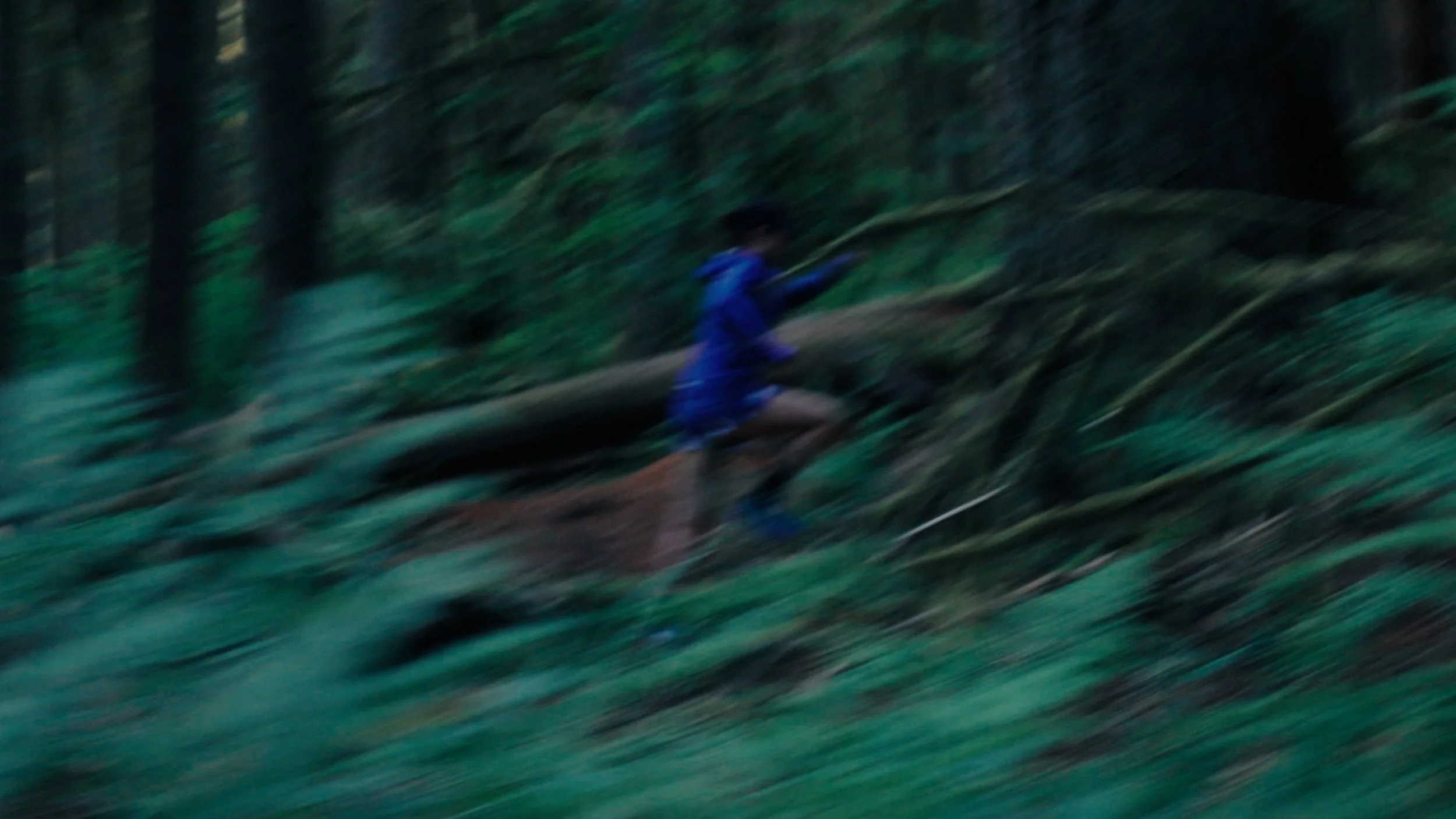 MAIN TIMELINE.00_00_17_11.Still008-1.jpg