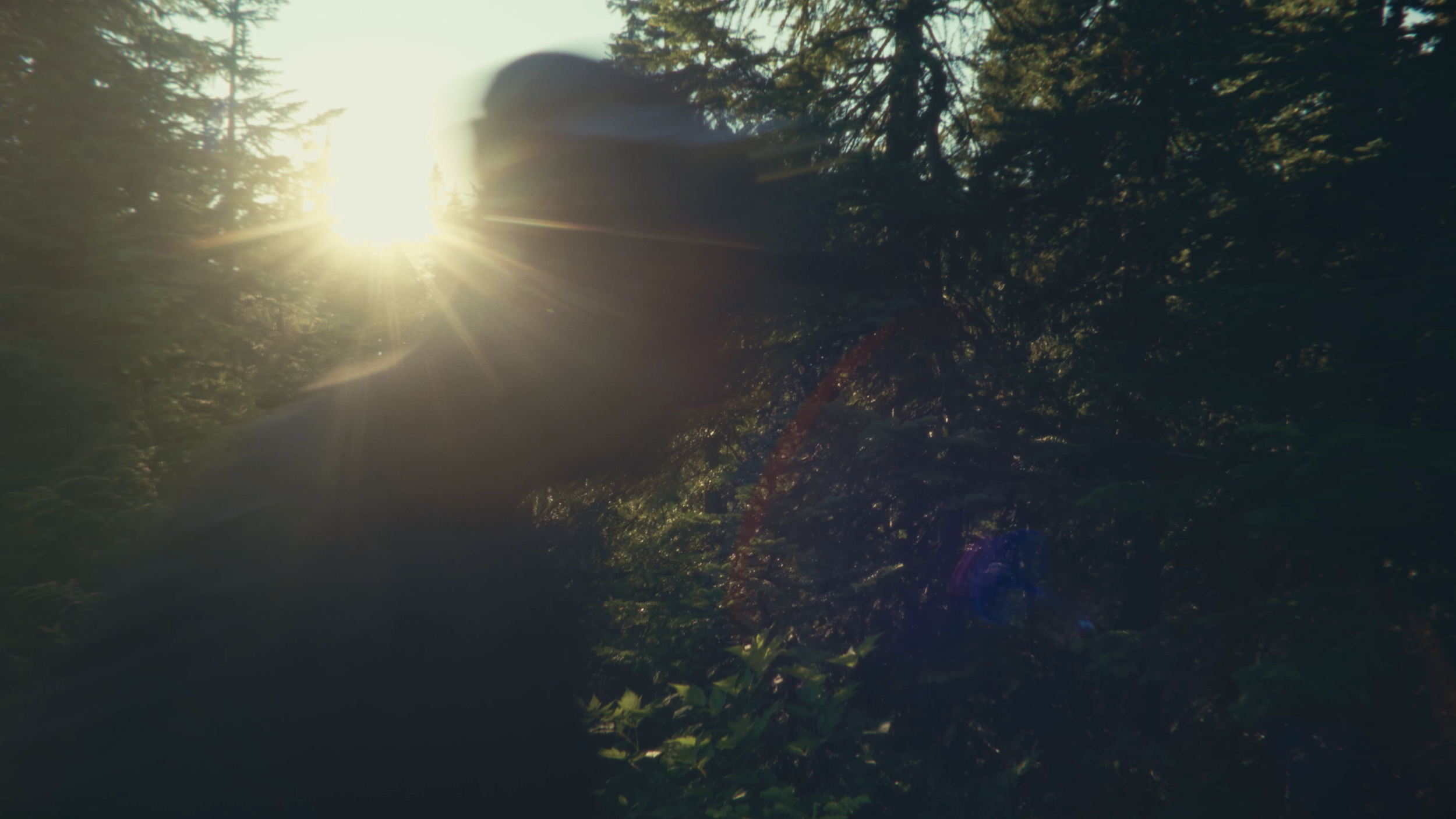 Screenshot 2025-10-31 at 2.58.44 PM.png