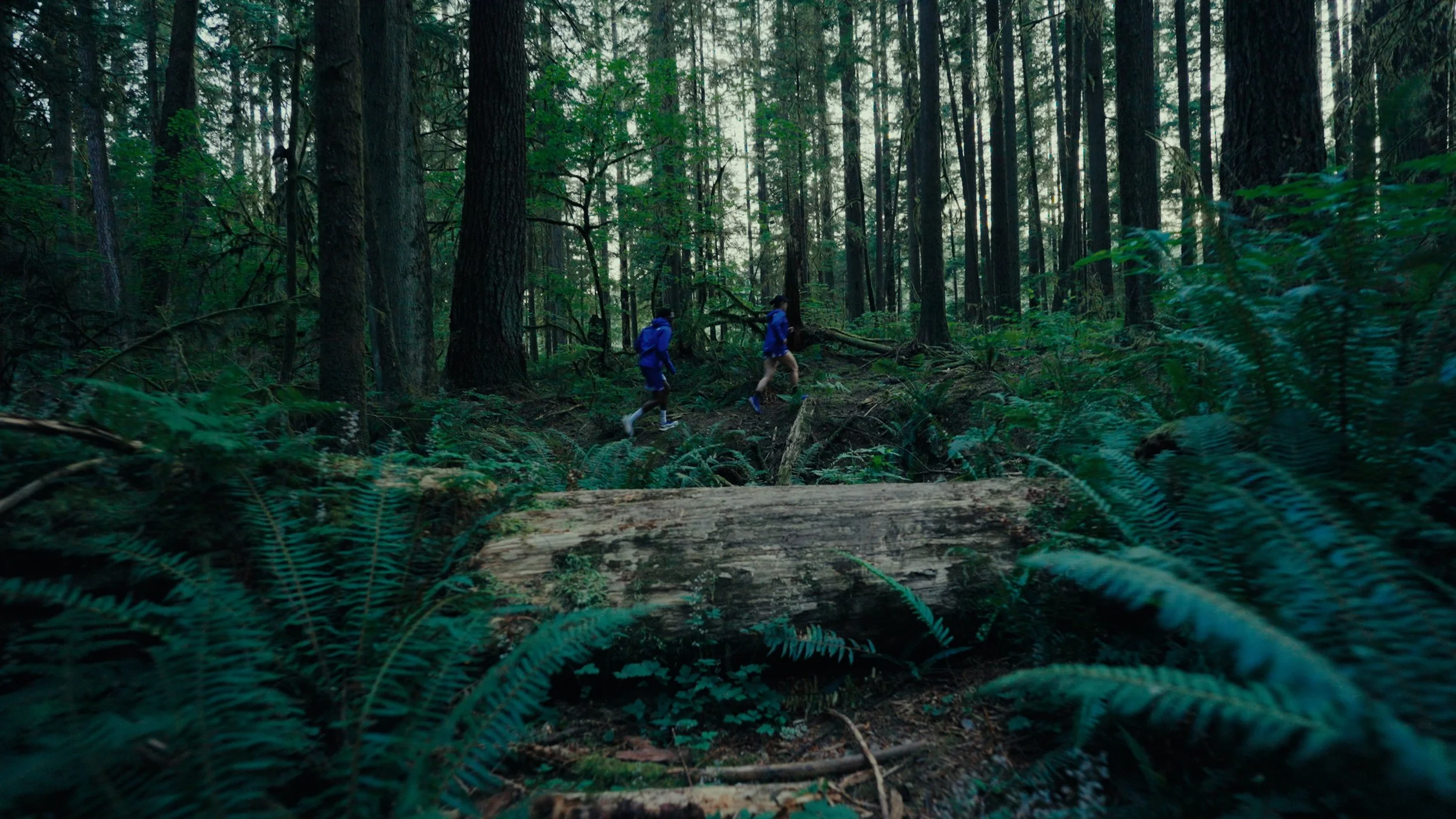 MAIN TIMELINE.00_00_18_20.Still009-1.jpg