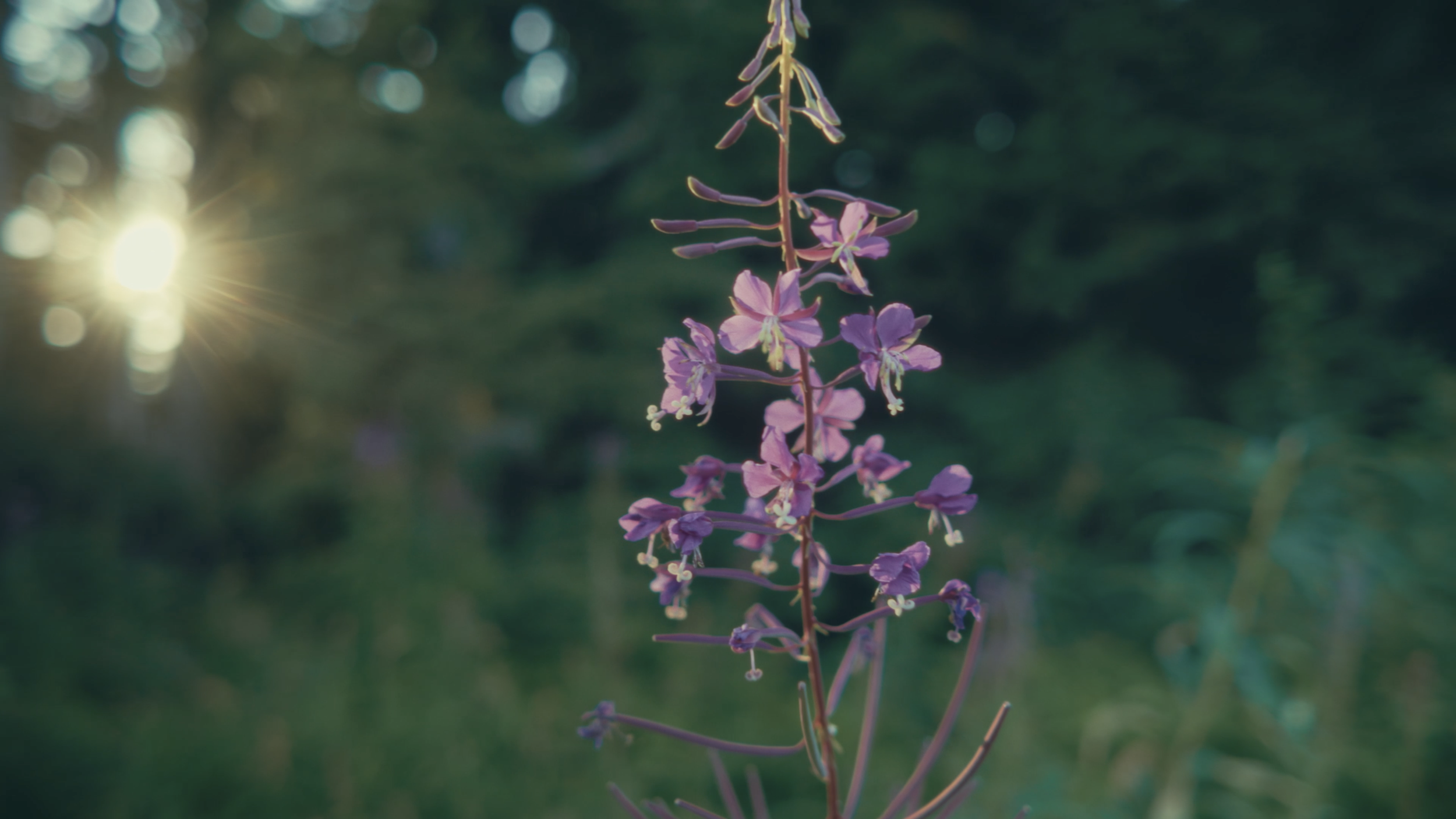 Screenshot 2025-10-31 at 2.58.27 PM.png