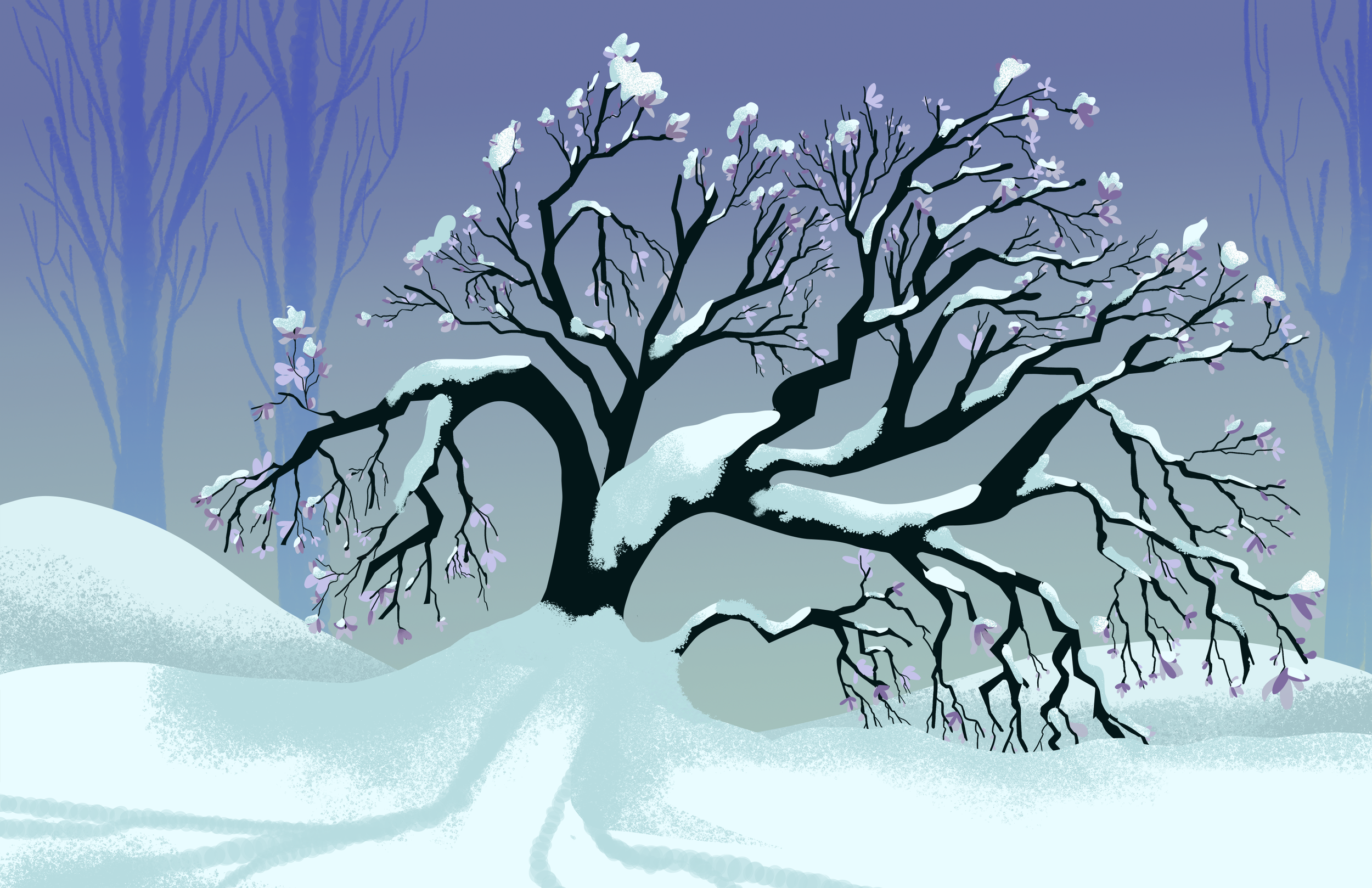magnolia in winter 004.png