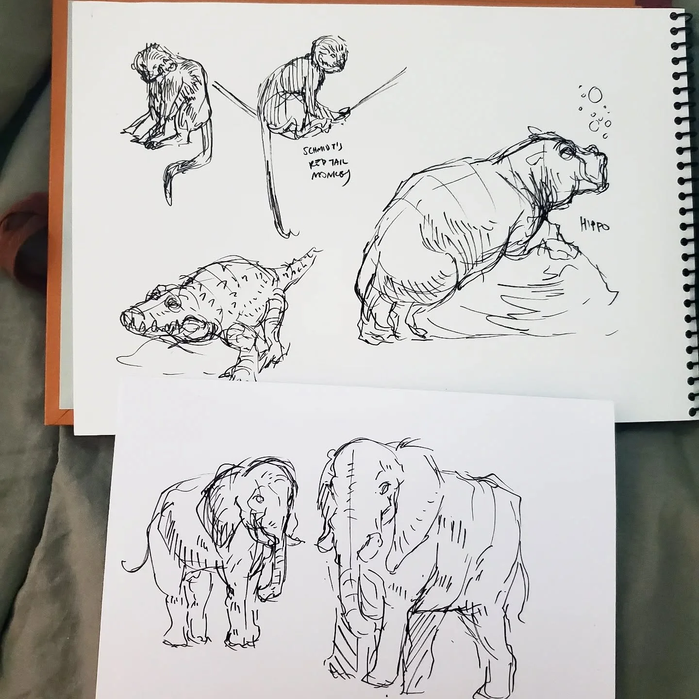 Zoo Life Drawing 03.30
Pen:Tombow Fudenosuke
Paper: Holbein Multi-drawing book S/M + Daiso 5 x 7 flashcards XD
.
.
.
.
#sketchbook #drawing #lifedrawing #ink