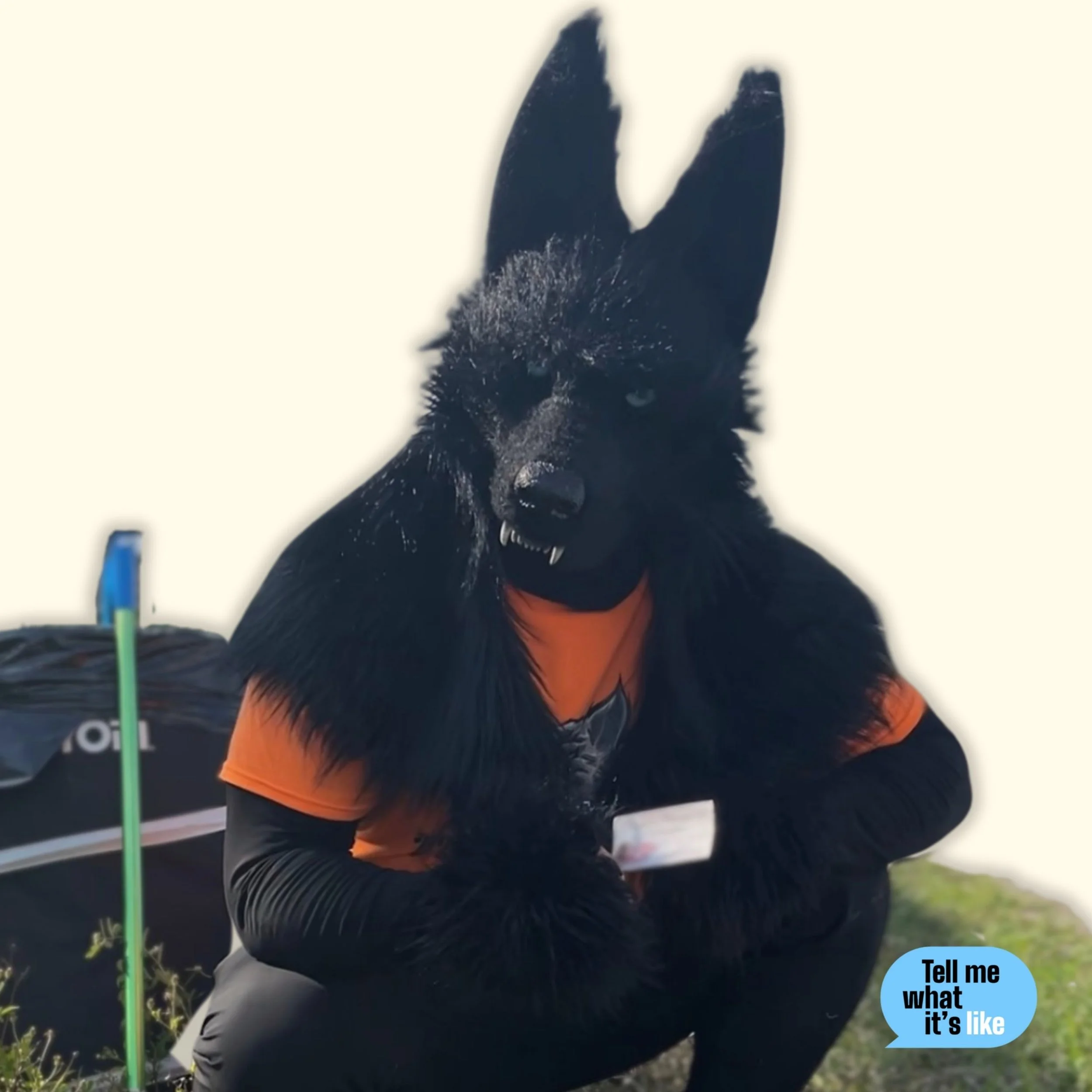 Trash Wolf: Becoming Leader of the Anti-Litter Pack