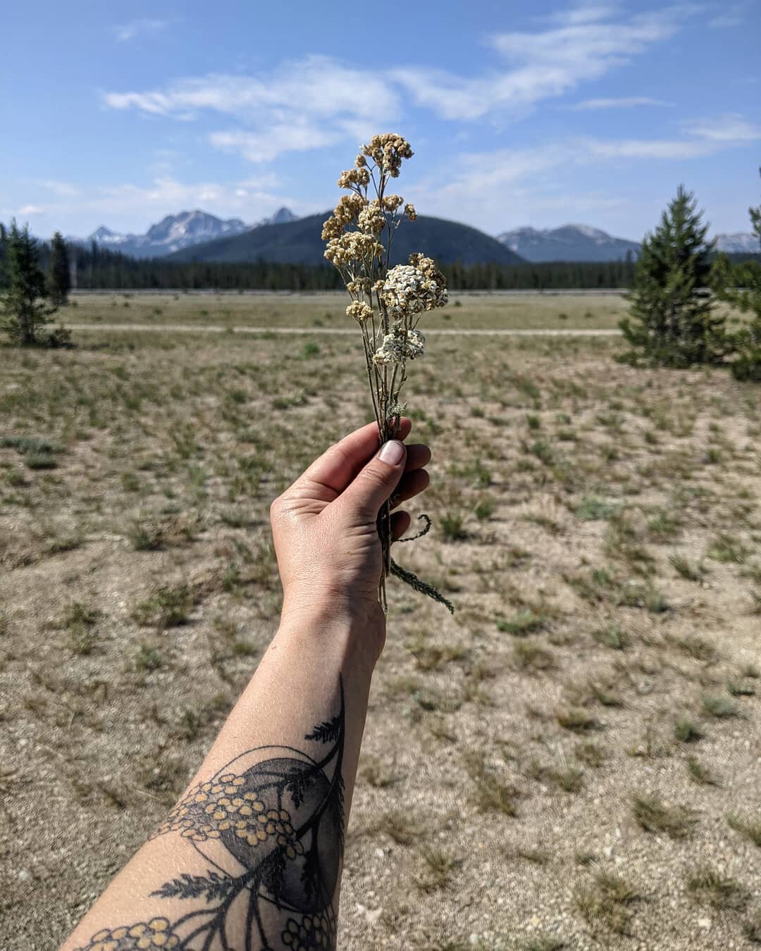 My body needed to rest and to enjoy the simple things. Picking wild yarrow, afternoon thunder, moody sunsets, and the cold rush of the Salmon River.
Thankful for an inspiring and restorative weekend.