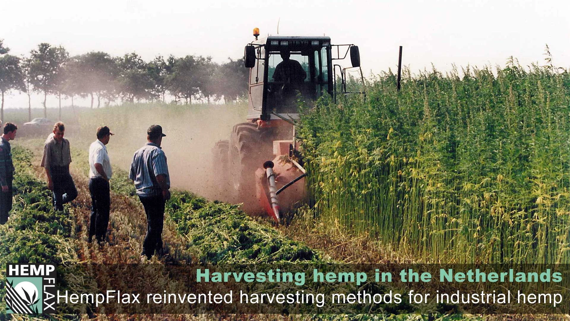 075.hemp-harvest.jpg