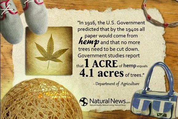 hemp stat.jpg