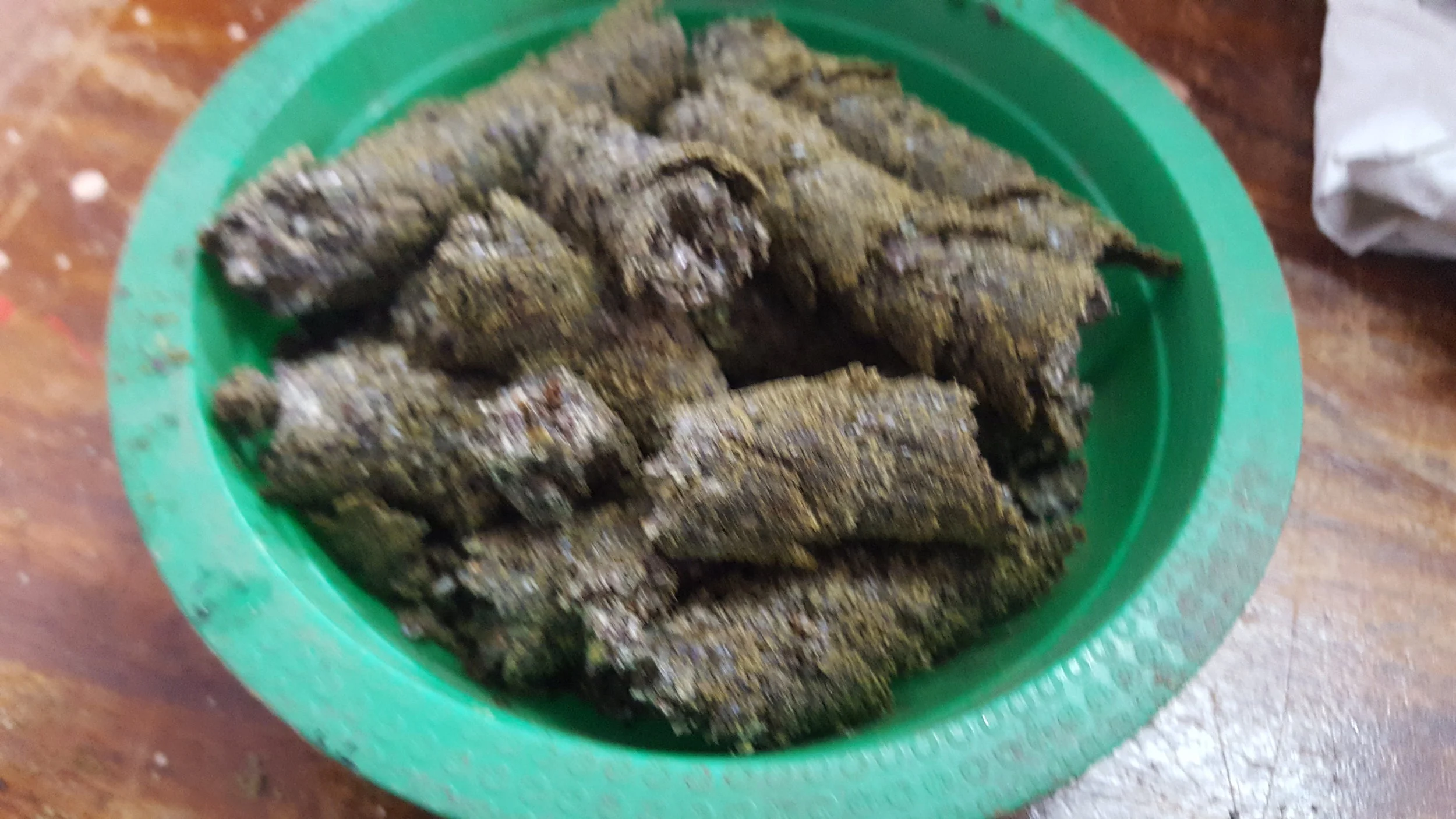 20160606_140731.jpg