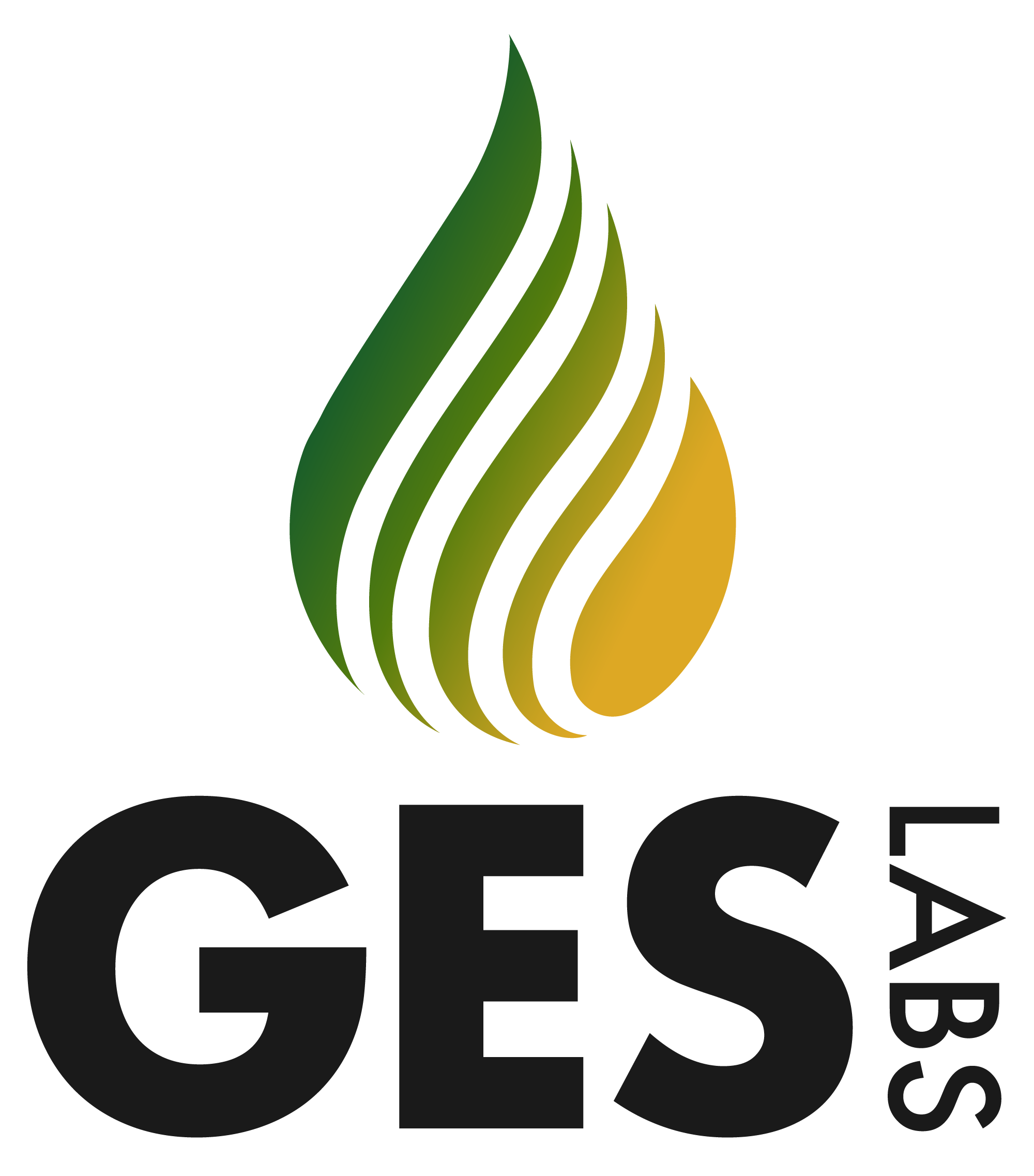 GES-Logo-Stacked-Black-Transparent.png