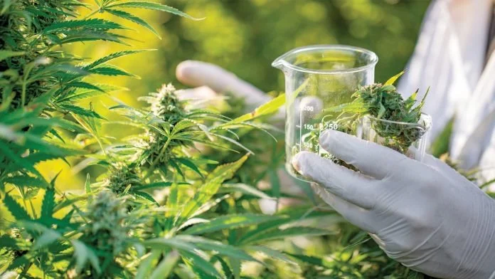 Testing of buds