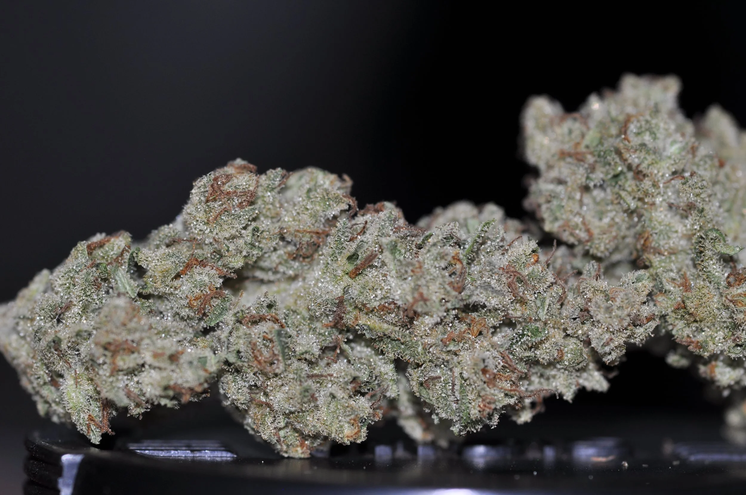 B-diesel 2- dried.JPG
