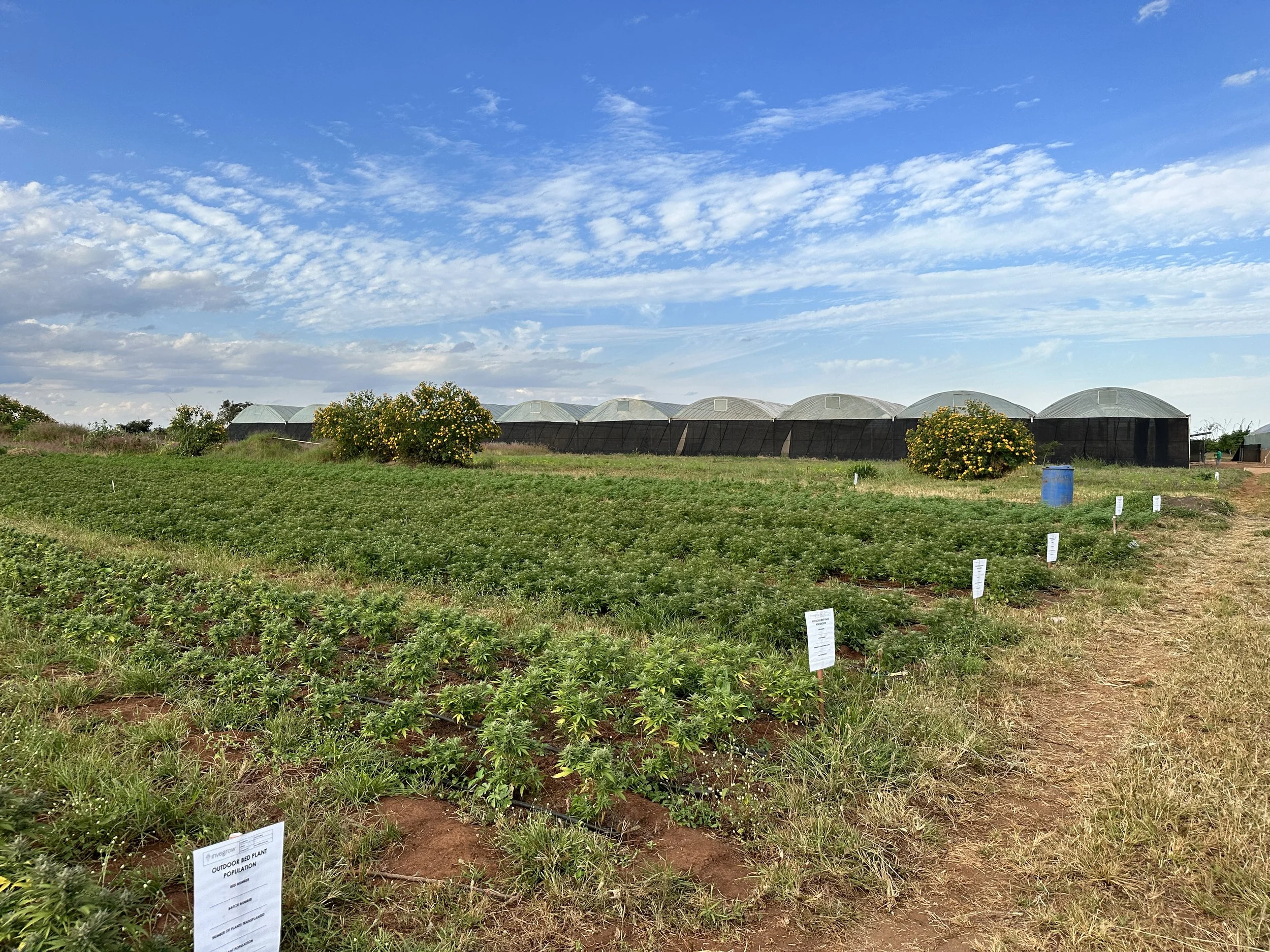 IMG_7829.JPG