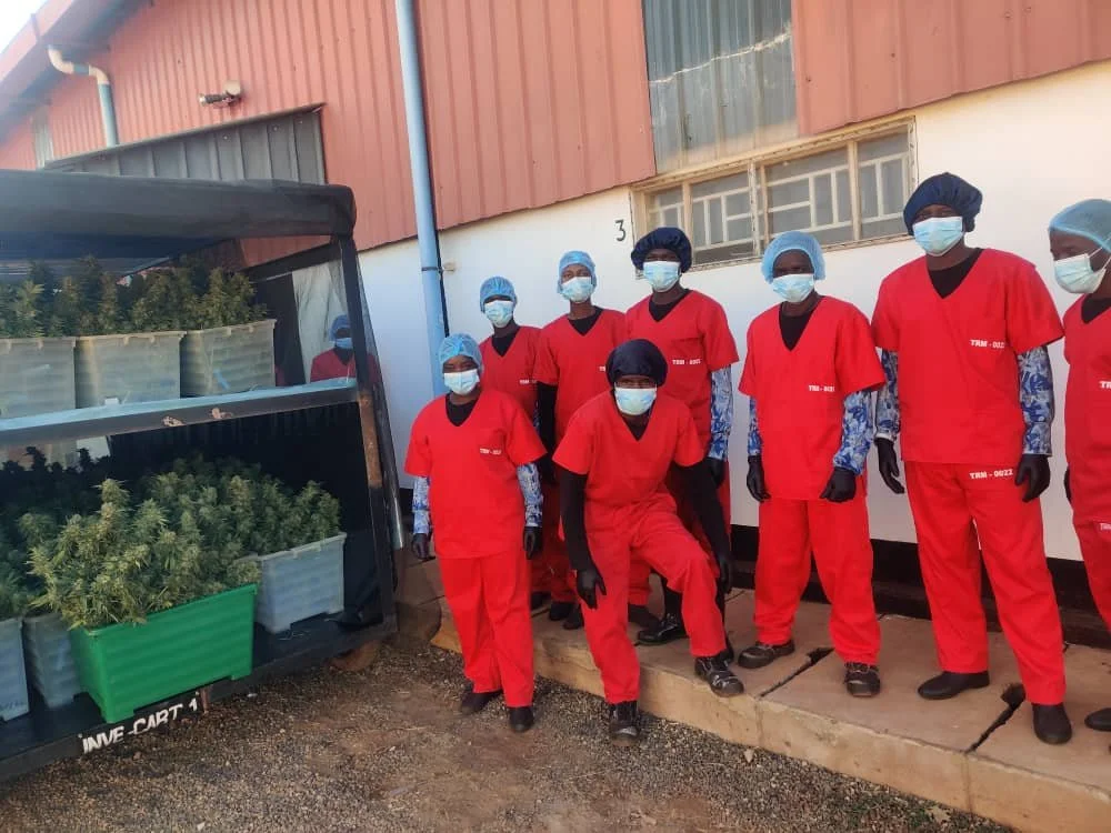 WhatsApp Image 2025-05-28 at 08.36.03.jpeg