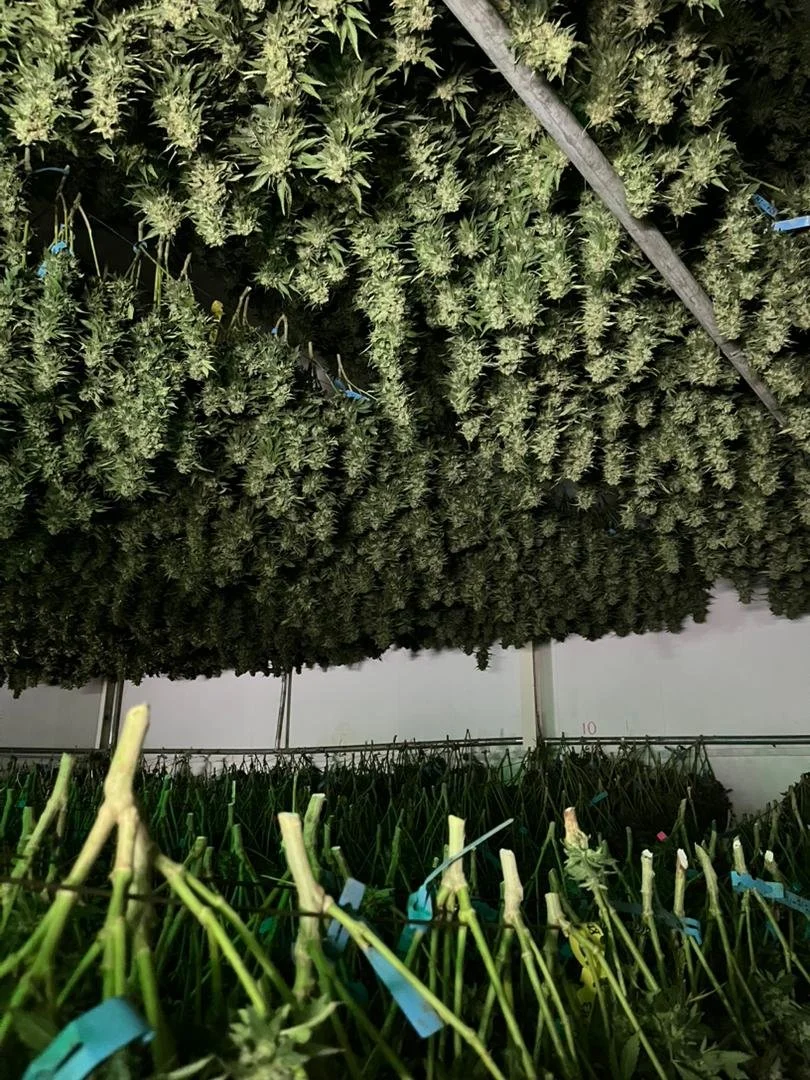 WhatsApp Image 2025-05-28 at 16.19.03.jpeg