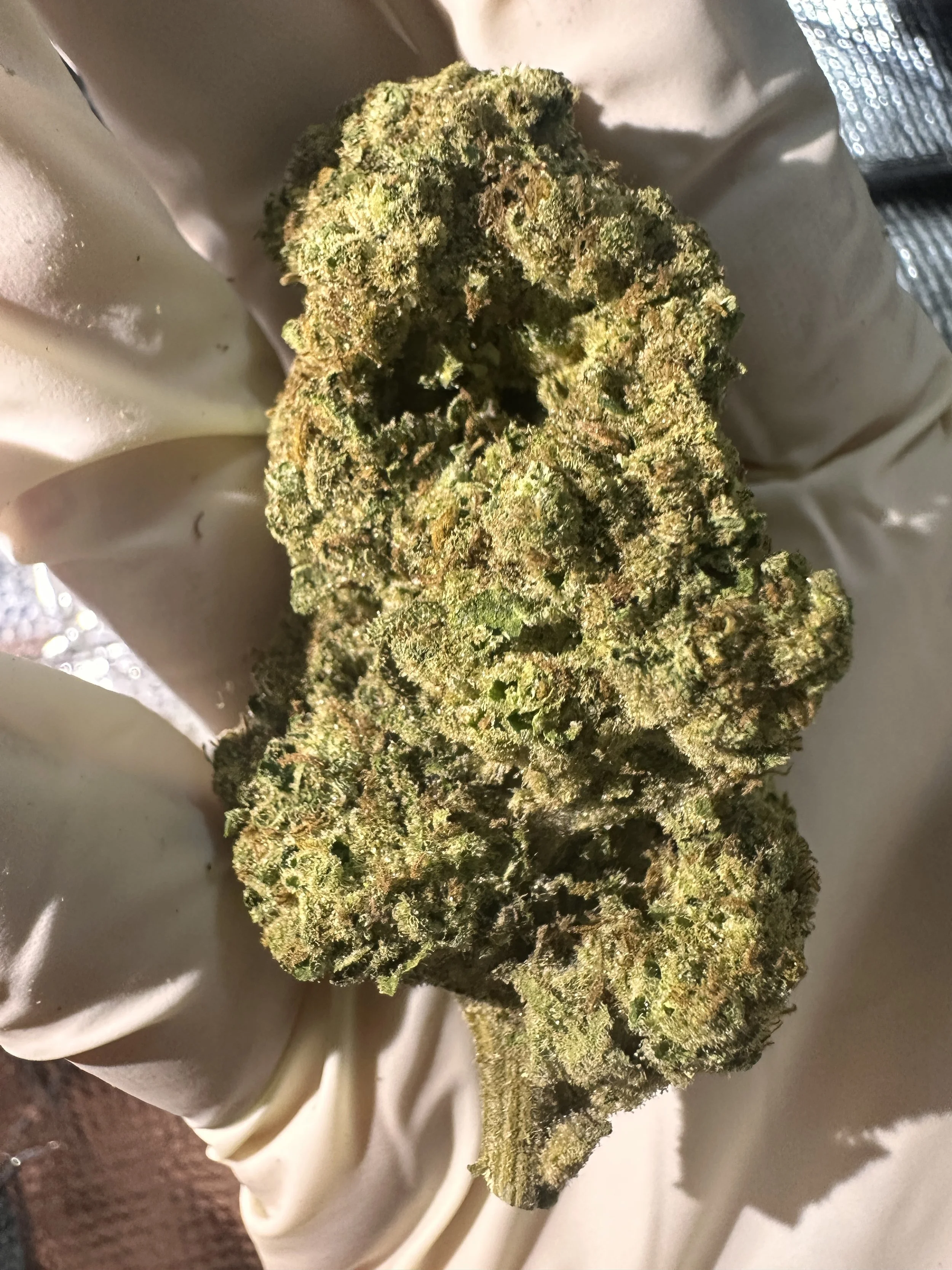 Blue Diesel medical cannabis flower