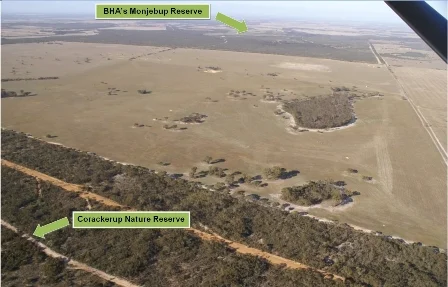Figure 3: (click image to enlarge) Aerial image capturing the cleared areas on Monjebup North taken during a fly-over in 2009. The photo was taken from the northwest corner of the site, looking towards the southeast.