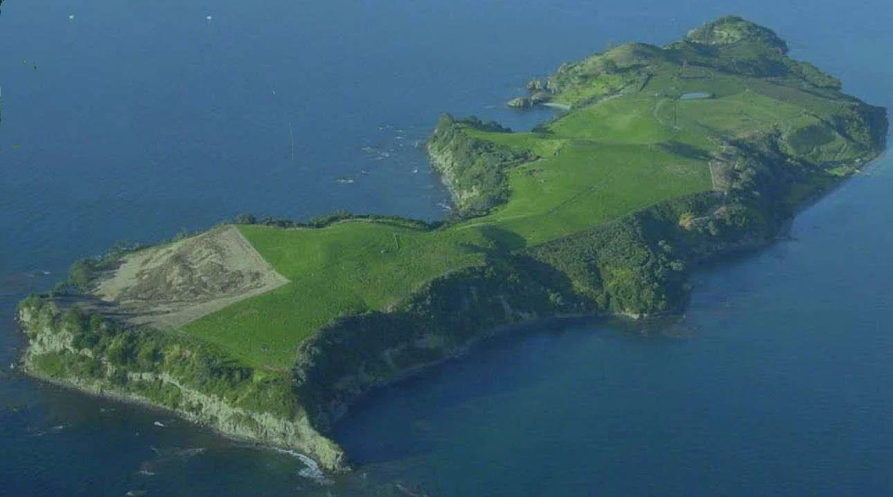 Figure 1 - Aerial view of the Island before planting began. Area to bottom left has been sprayed in preparation for planting (Photo from cover of 2007 Motuora Native Species Restoration Plan).