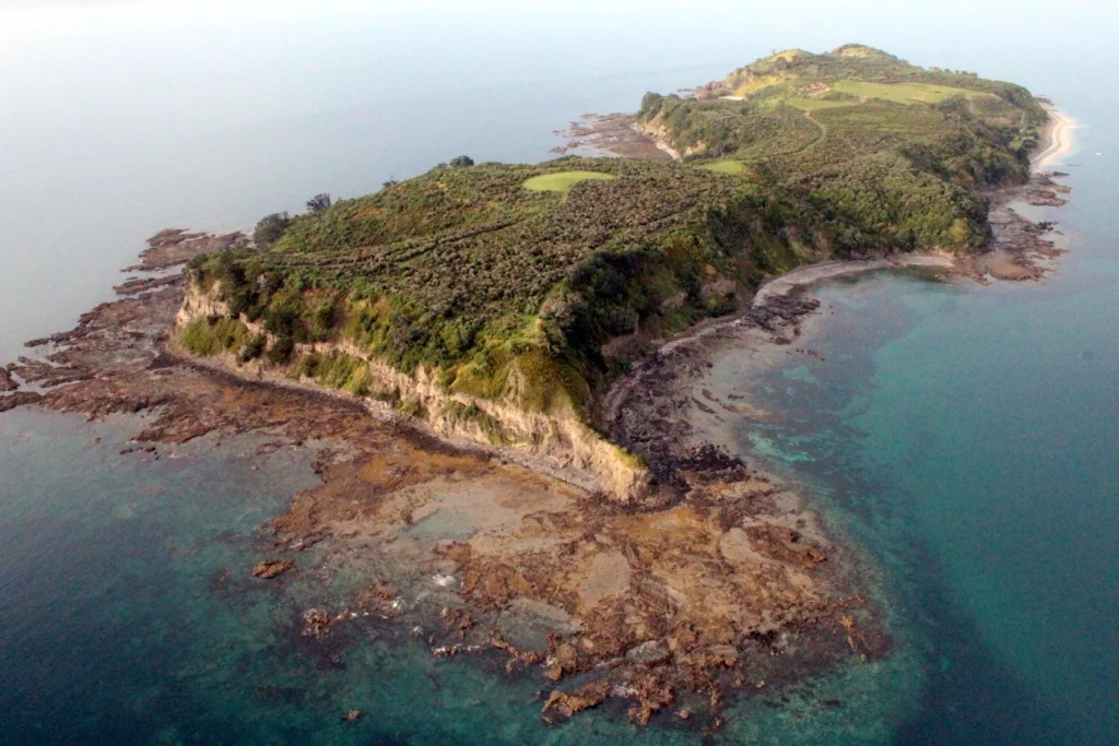 Figure 2 - Aerial view of the Island after completion of the pioneer planting. (Photo by Toby Shanley) 