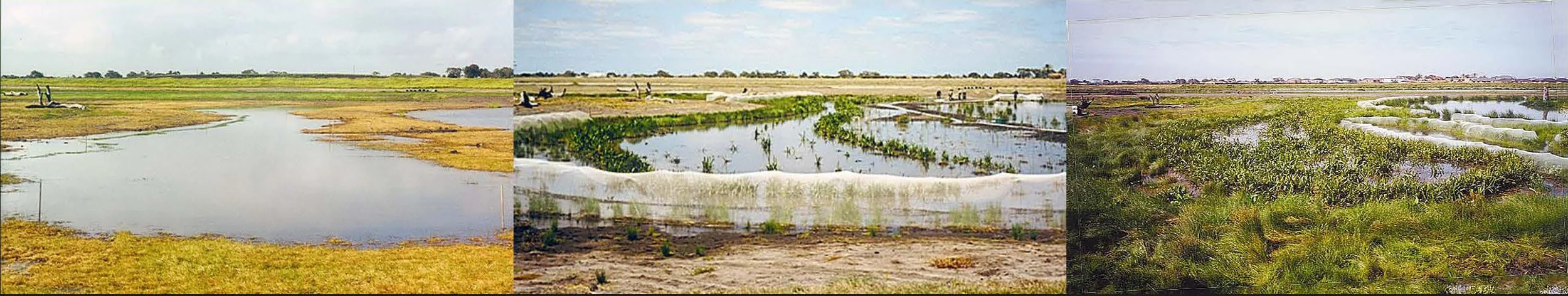 This sequence of photographs, taken over a nine-month period at the Waterways.