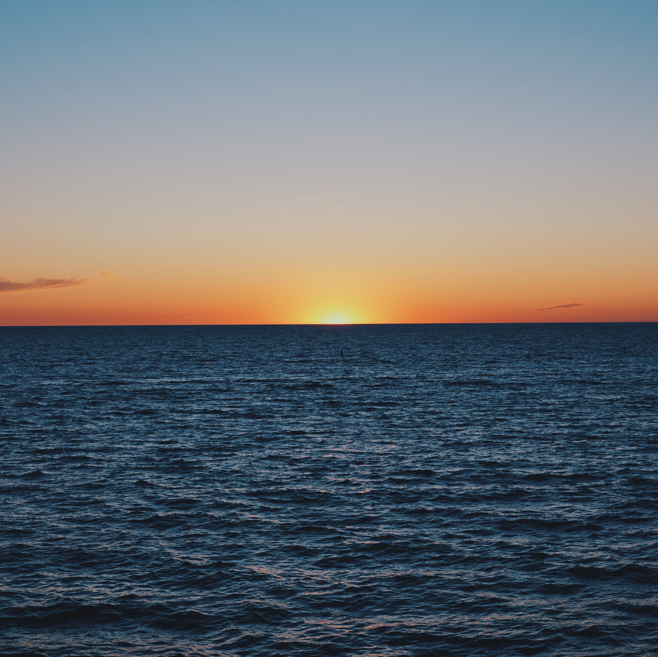 215375C8-B03A-47FD-84EA-D7843A87C7F6.jpg
